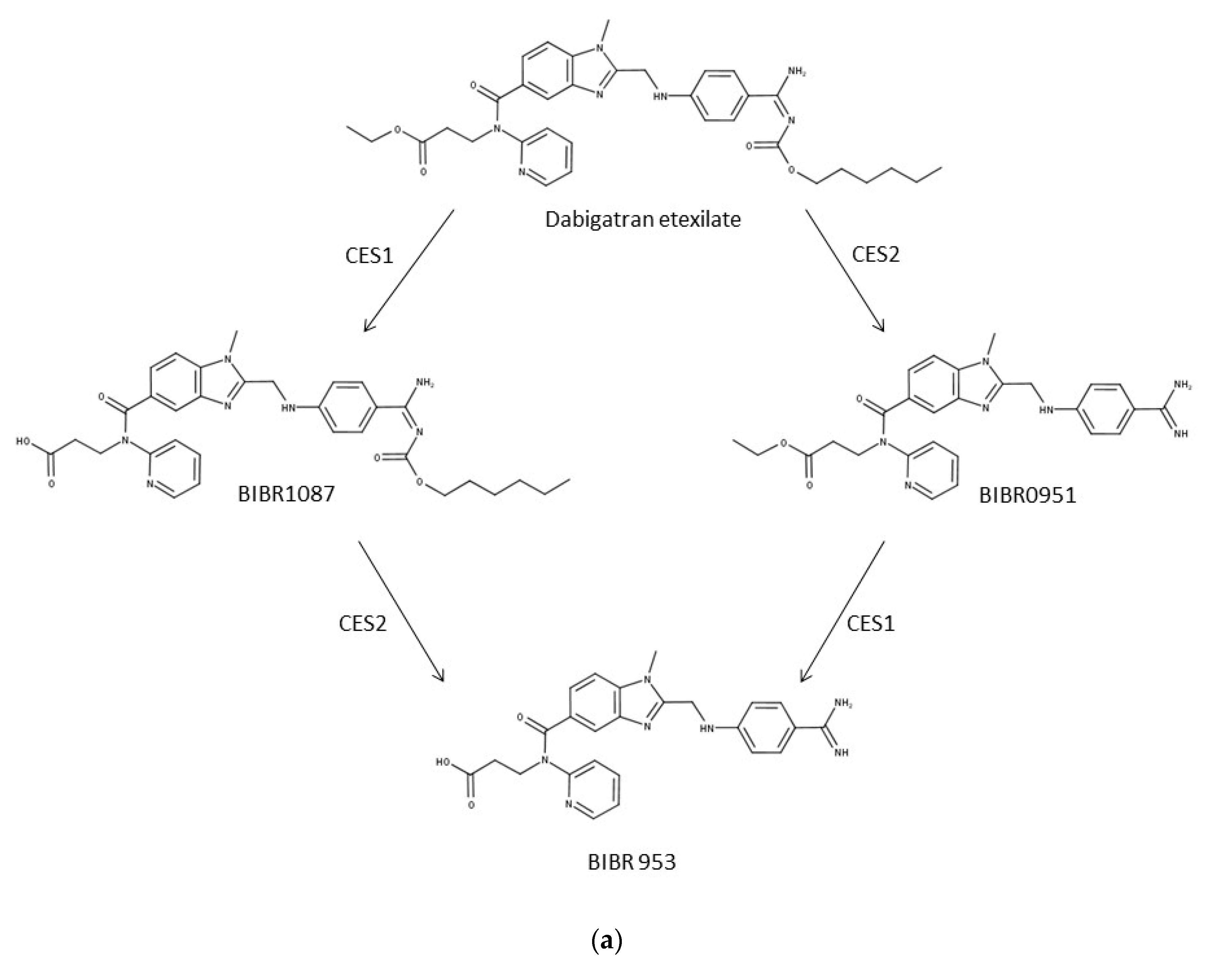 Pharmaceutics 12 00405 g003a Pharmaceutics 12 00405 g003a