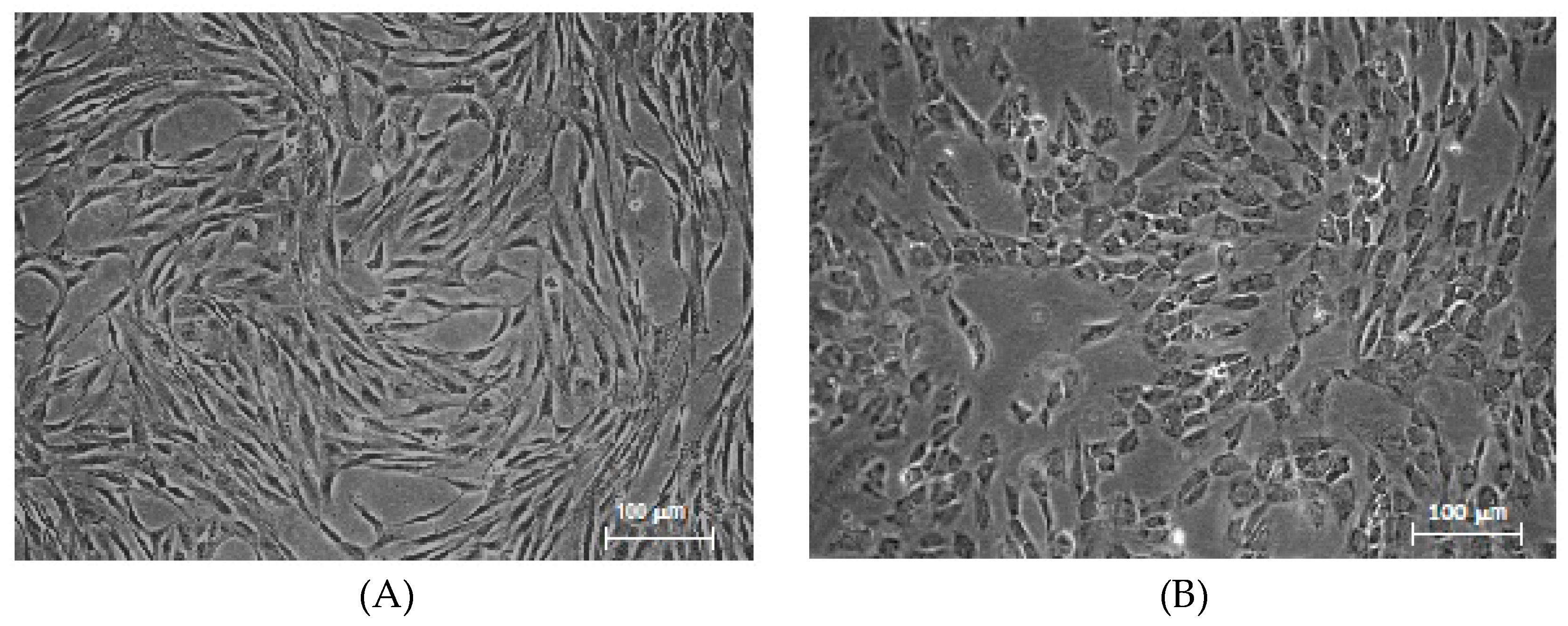 Pharmaceutics 12 00411 g001