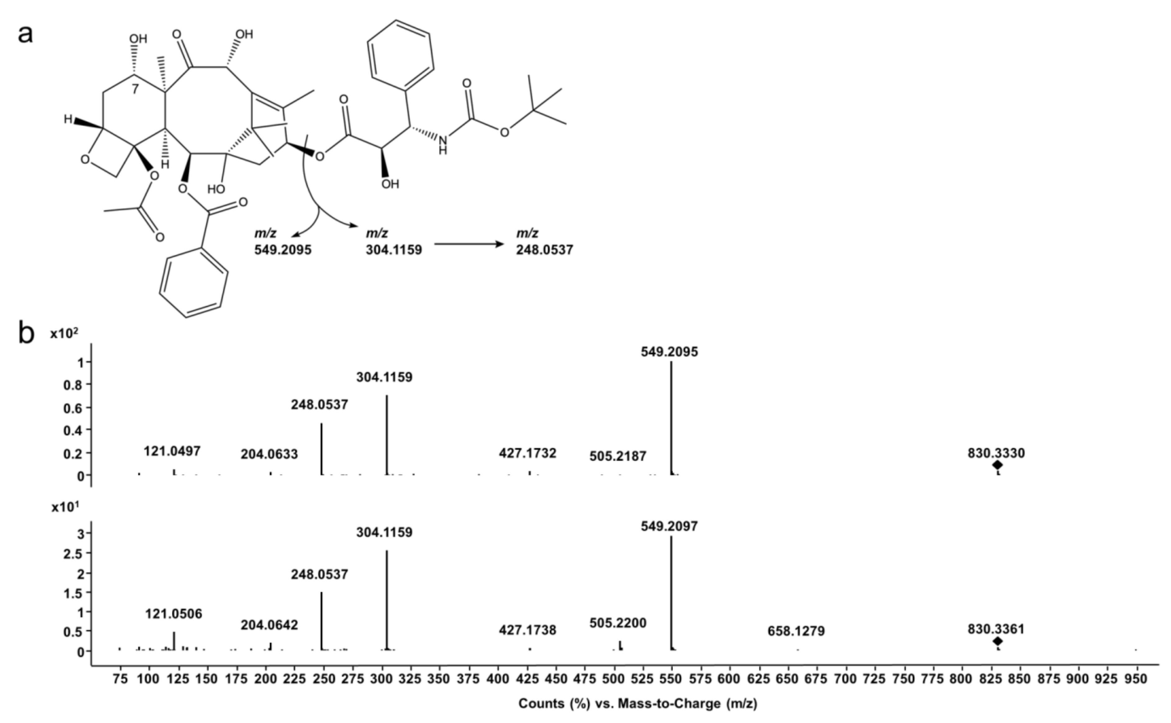 Pharmaceutics 12 00413 g002