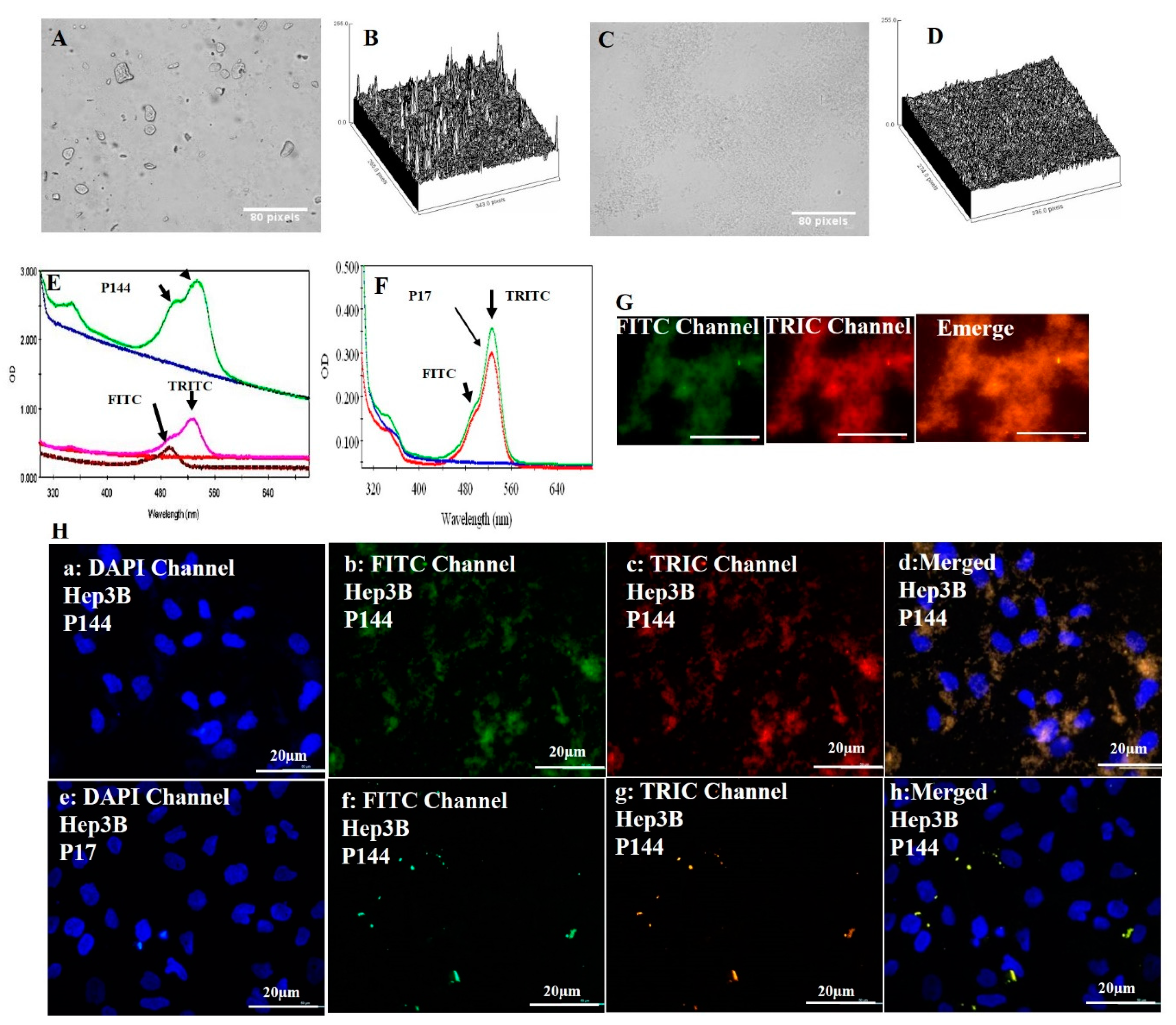 Pharmaceutics 12 00421 g001