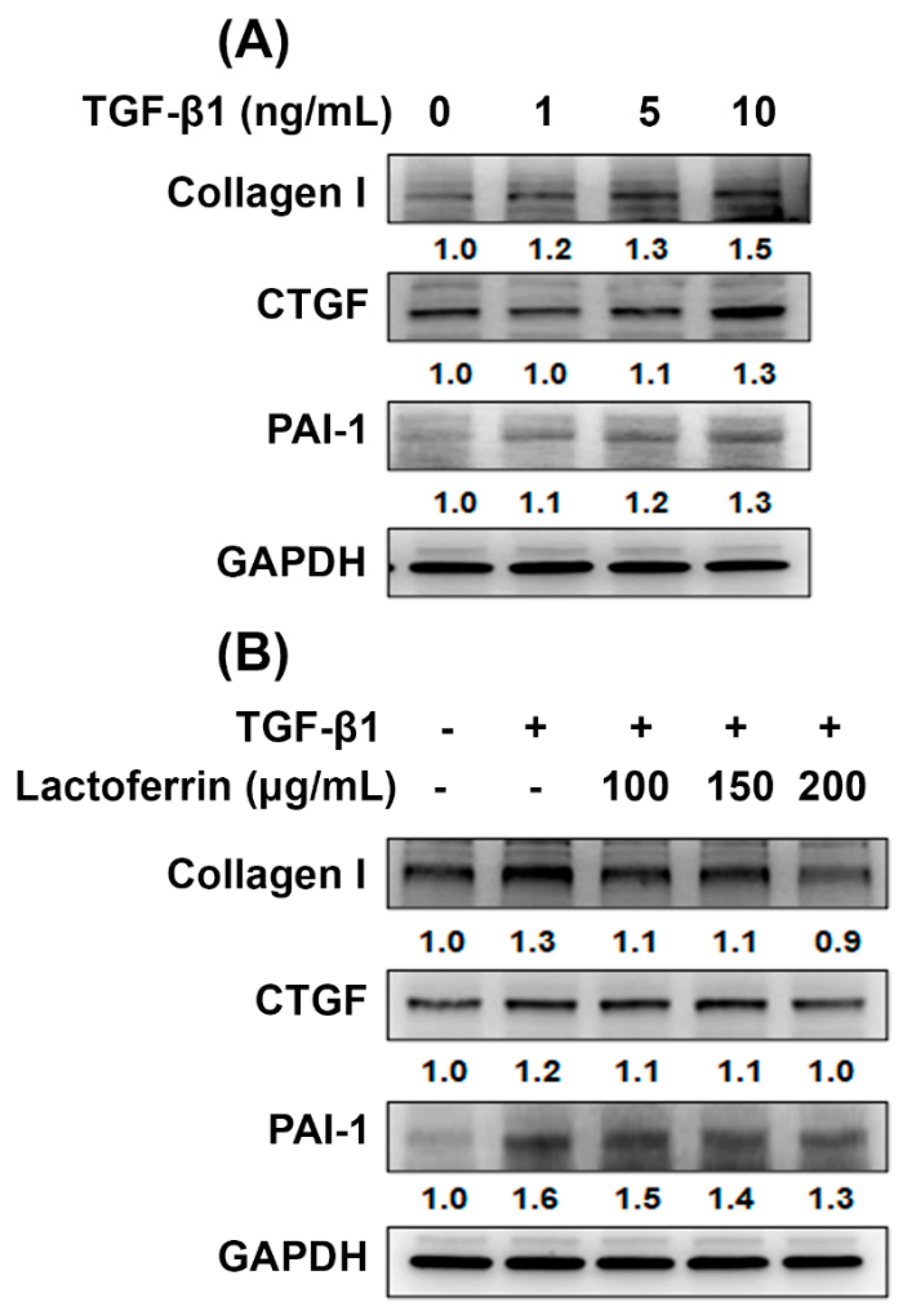 Pharmaceutics 12 00434 g004