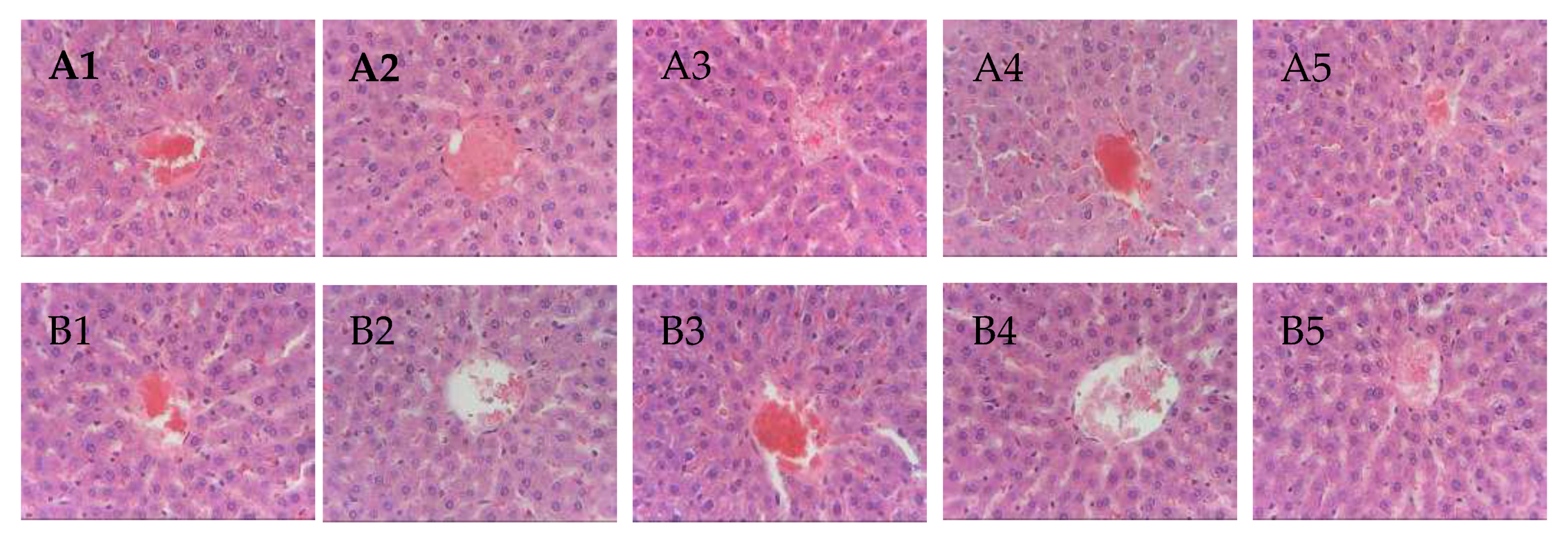 Pharmaceutics 12 00437 g006