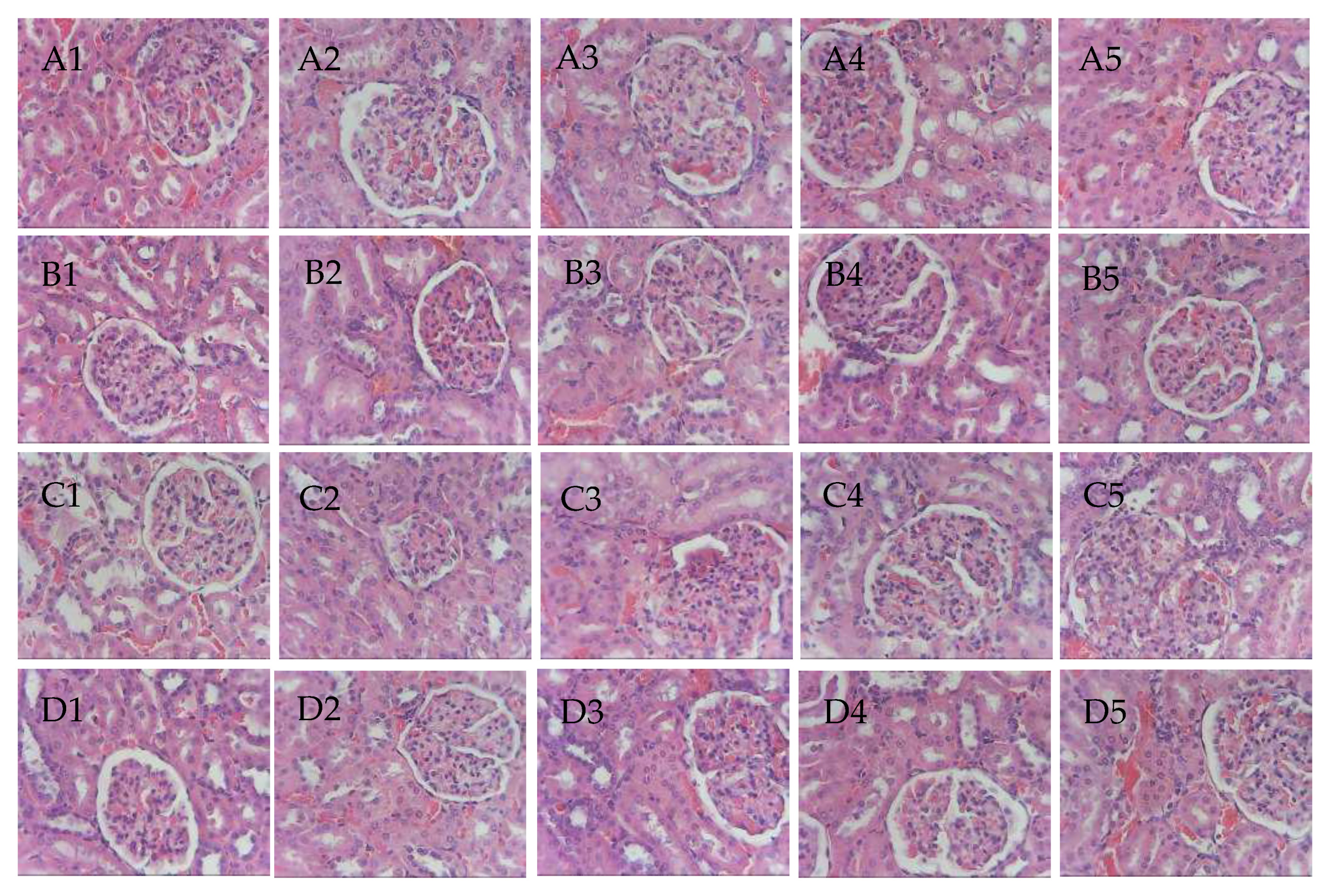 Pharmaceutics 12 00437 g007