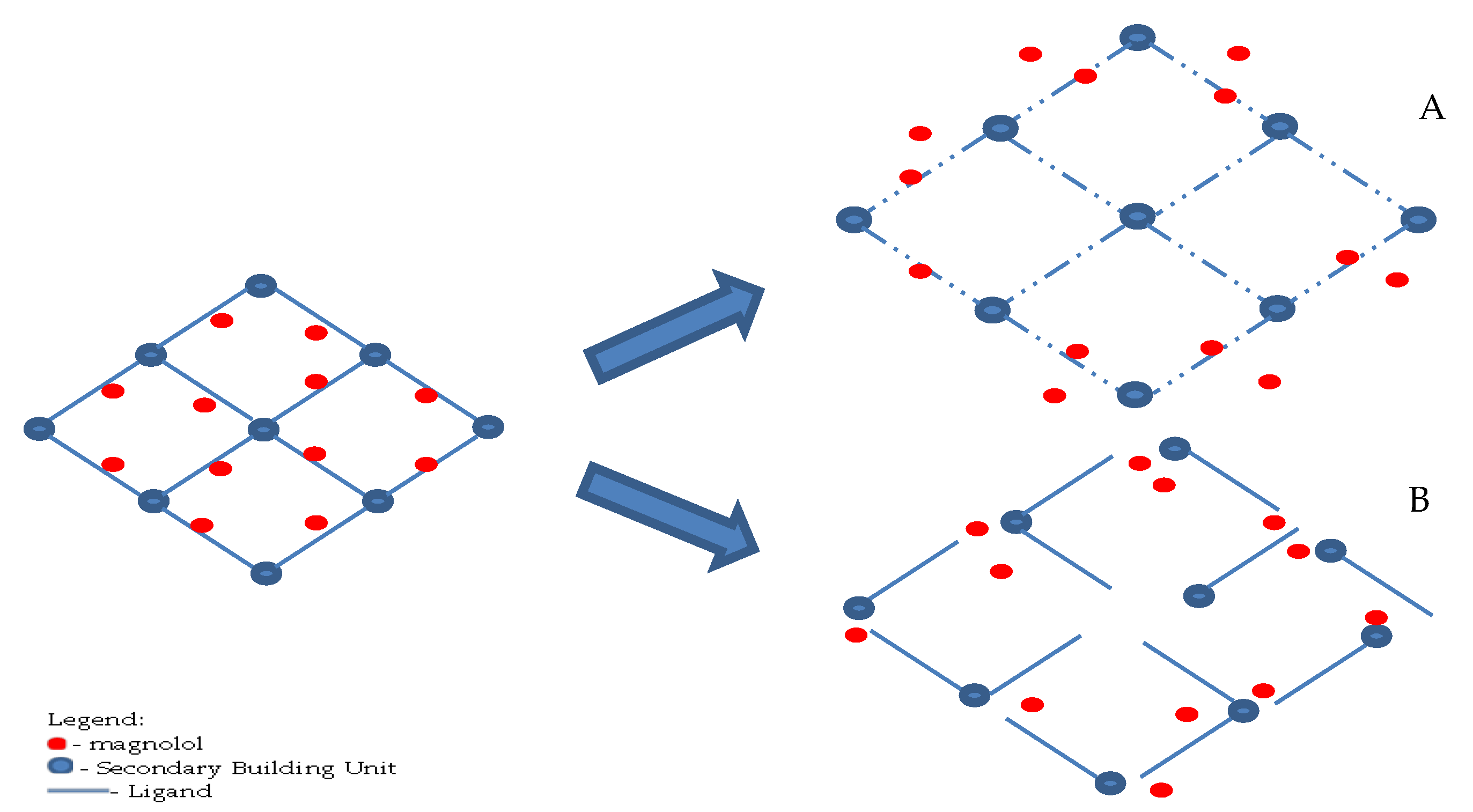 Pharmaceutics 12 00437 g010