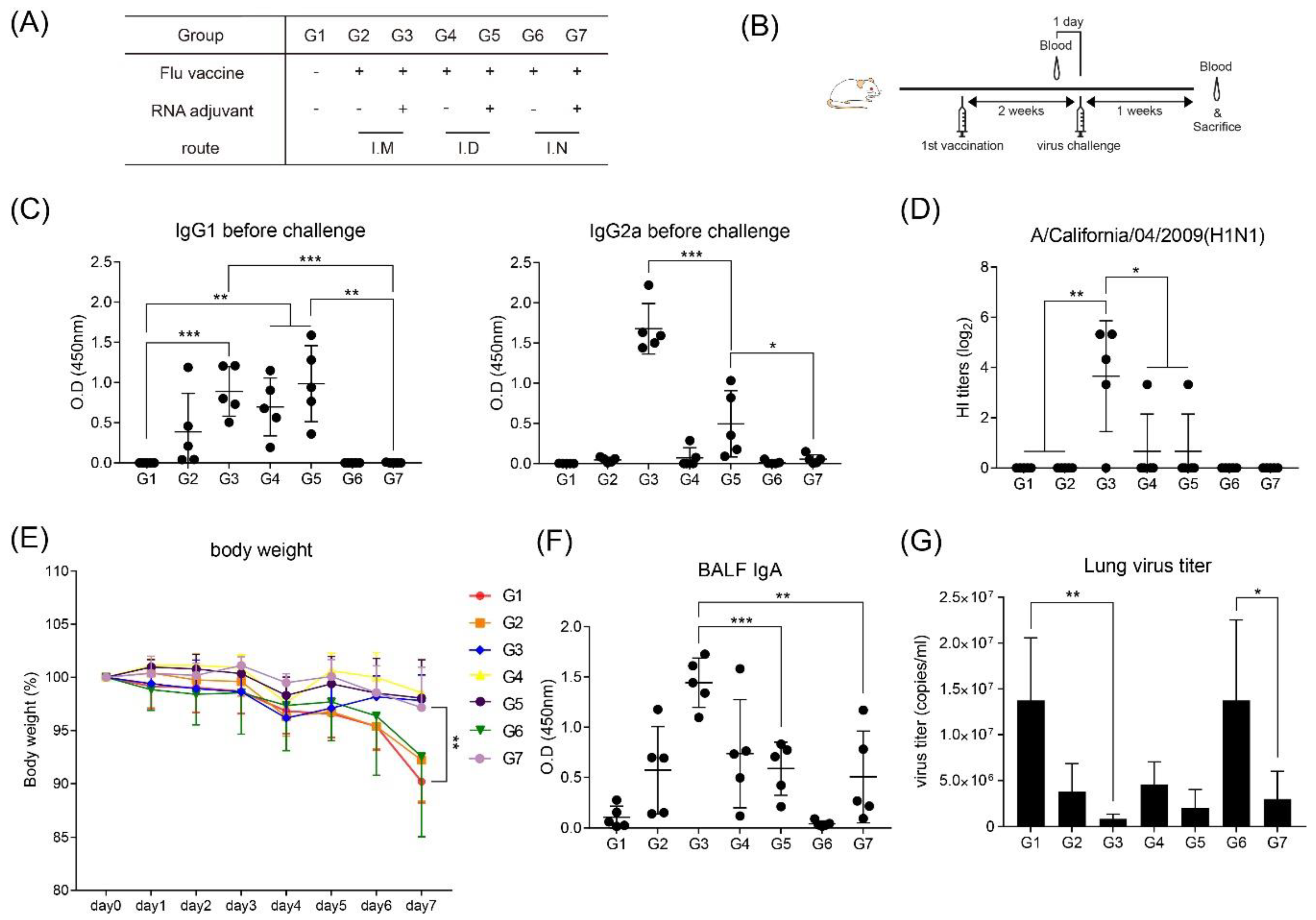 Pharmaceutics 12 00441 g005 Pharmaceutics 12 00441 g005