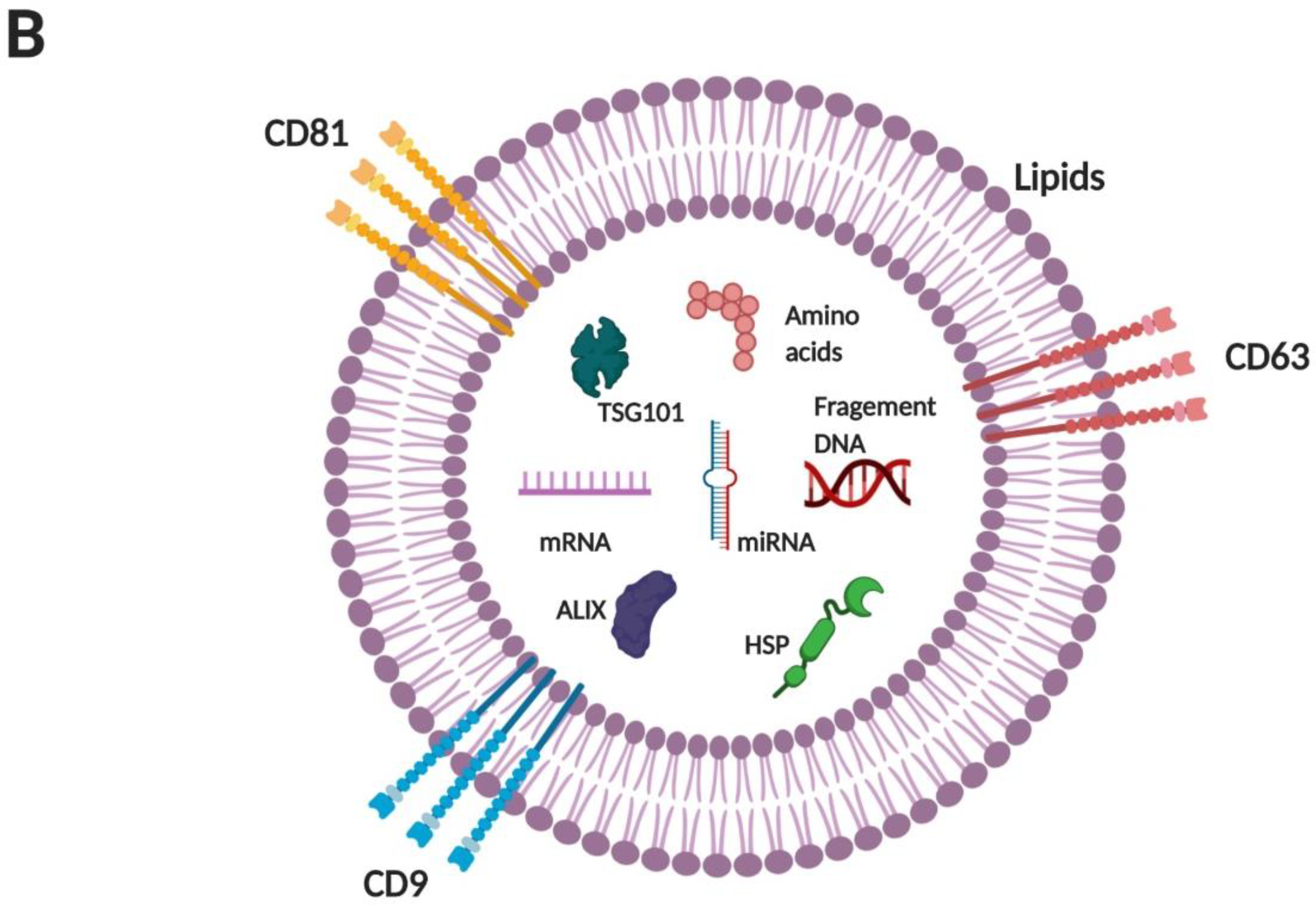 Pharmaceutics 12 00442 g001b Pharmaceutics 12 00442 g001b