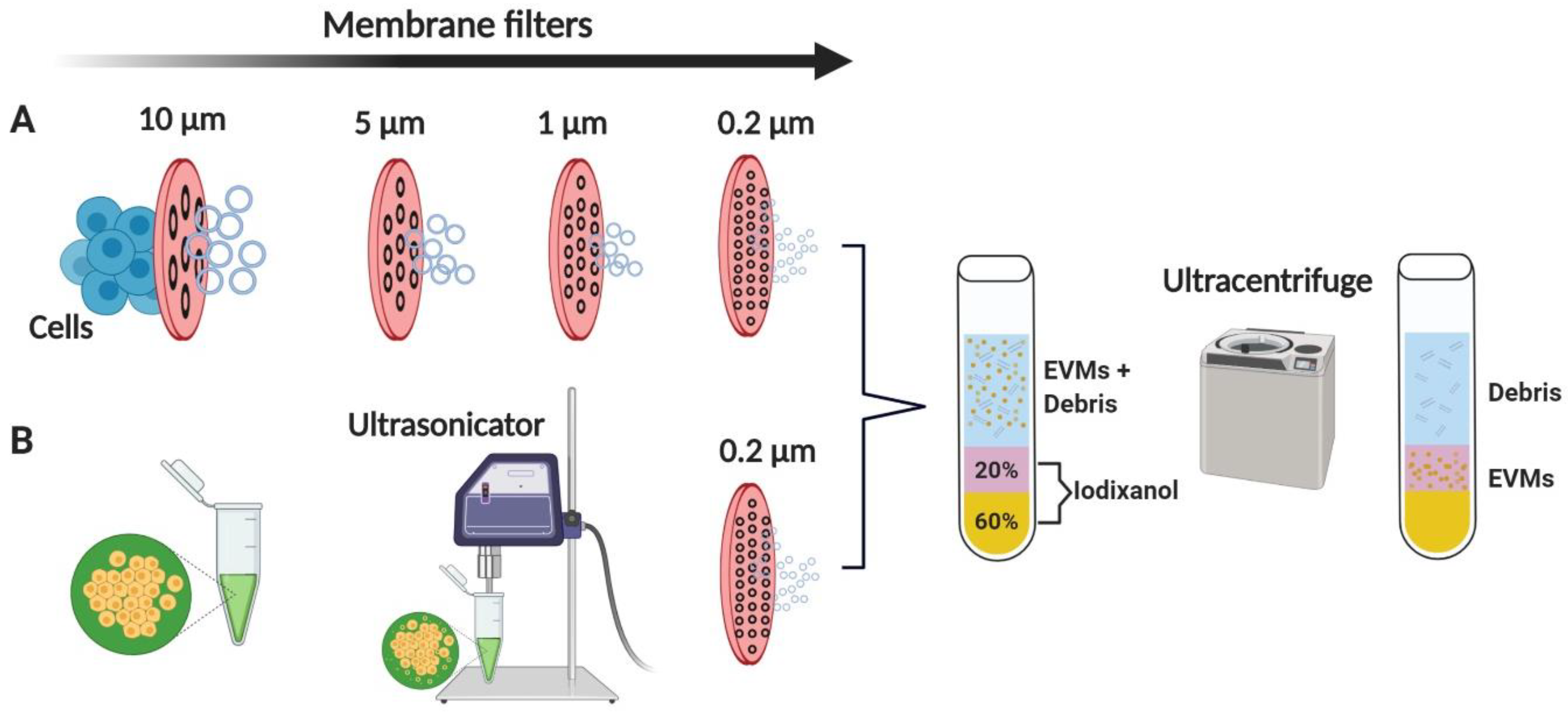 Pharmaceutics 12 00442 g002 Pharmaceutics 12 00442 g002