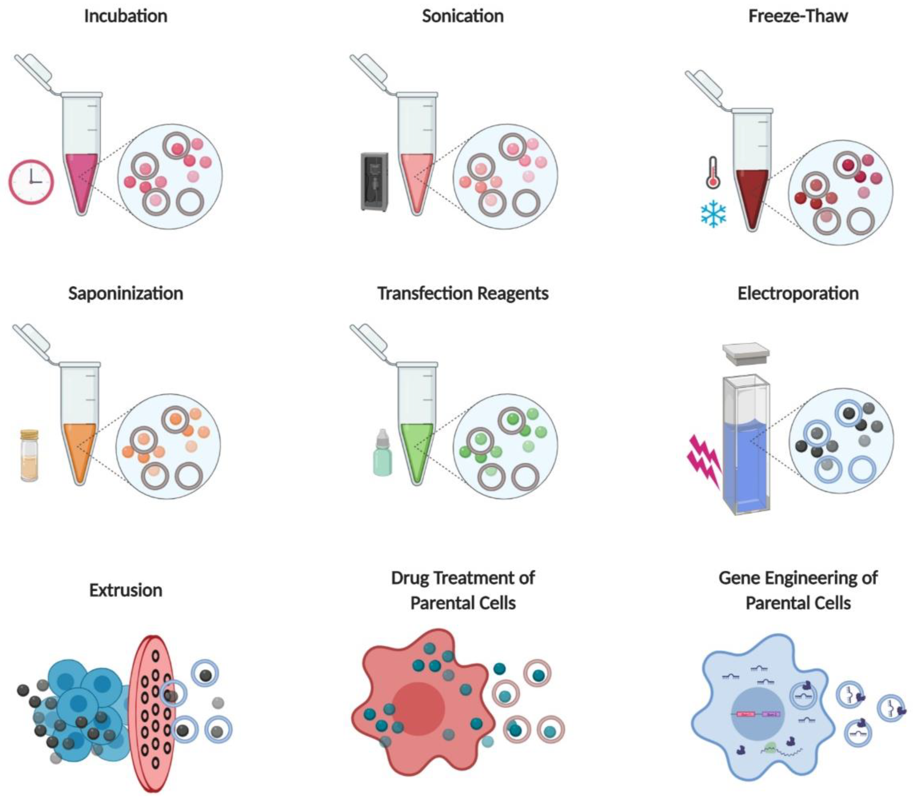 Pharmaceutics 12 00442 g005 Pharmaceutics 12 00442 g005