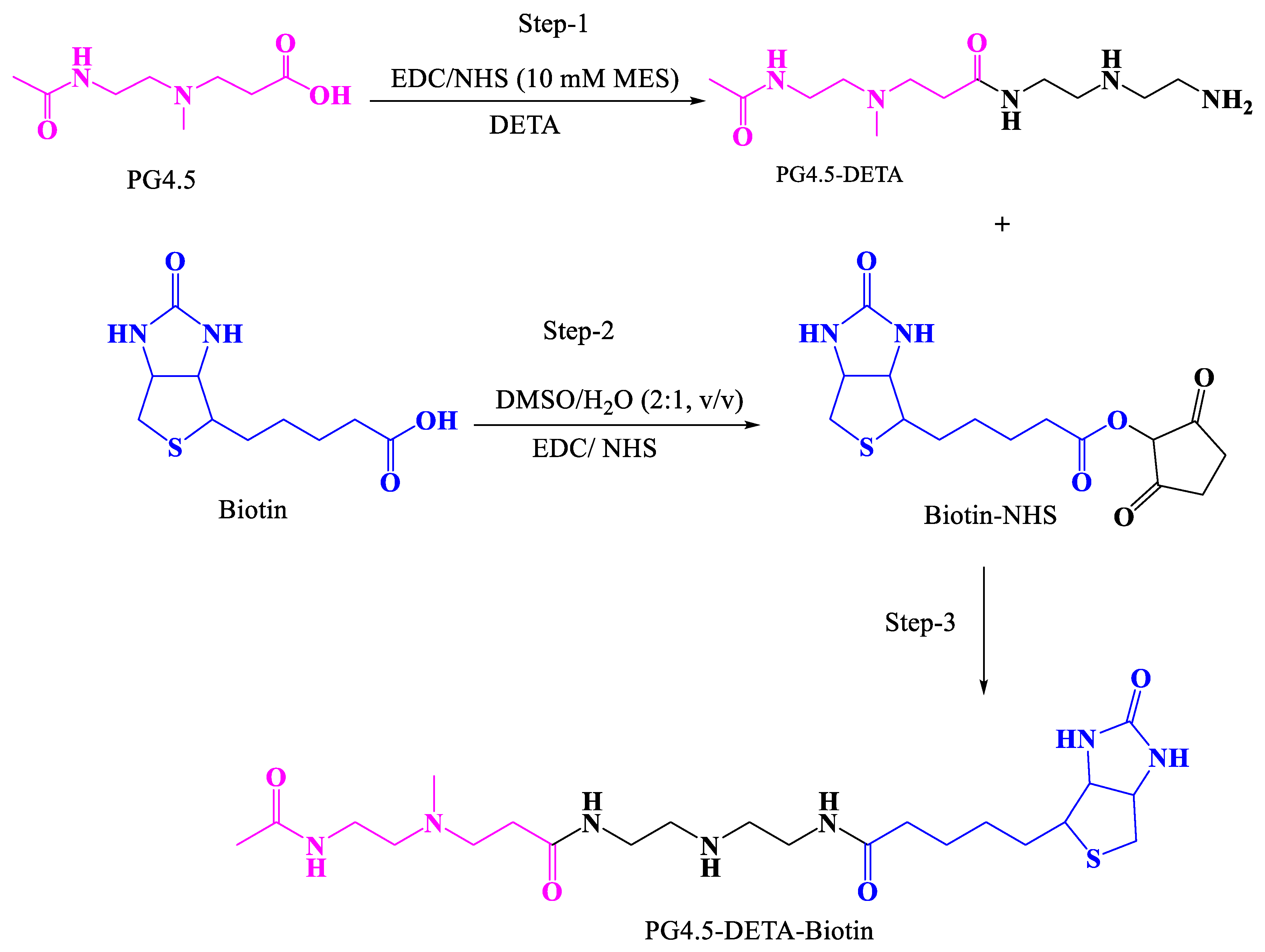 Pharmaceutics 12 00443 sch001 Pharmaceutics 12 00443 sch001