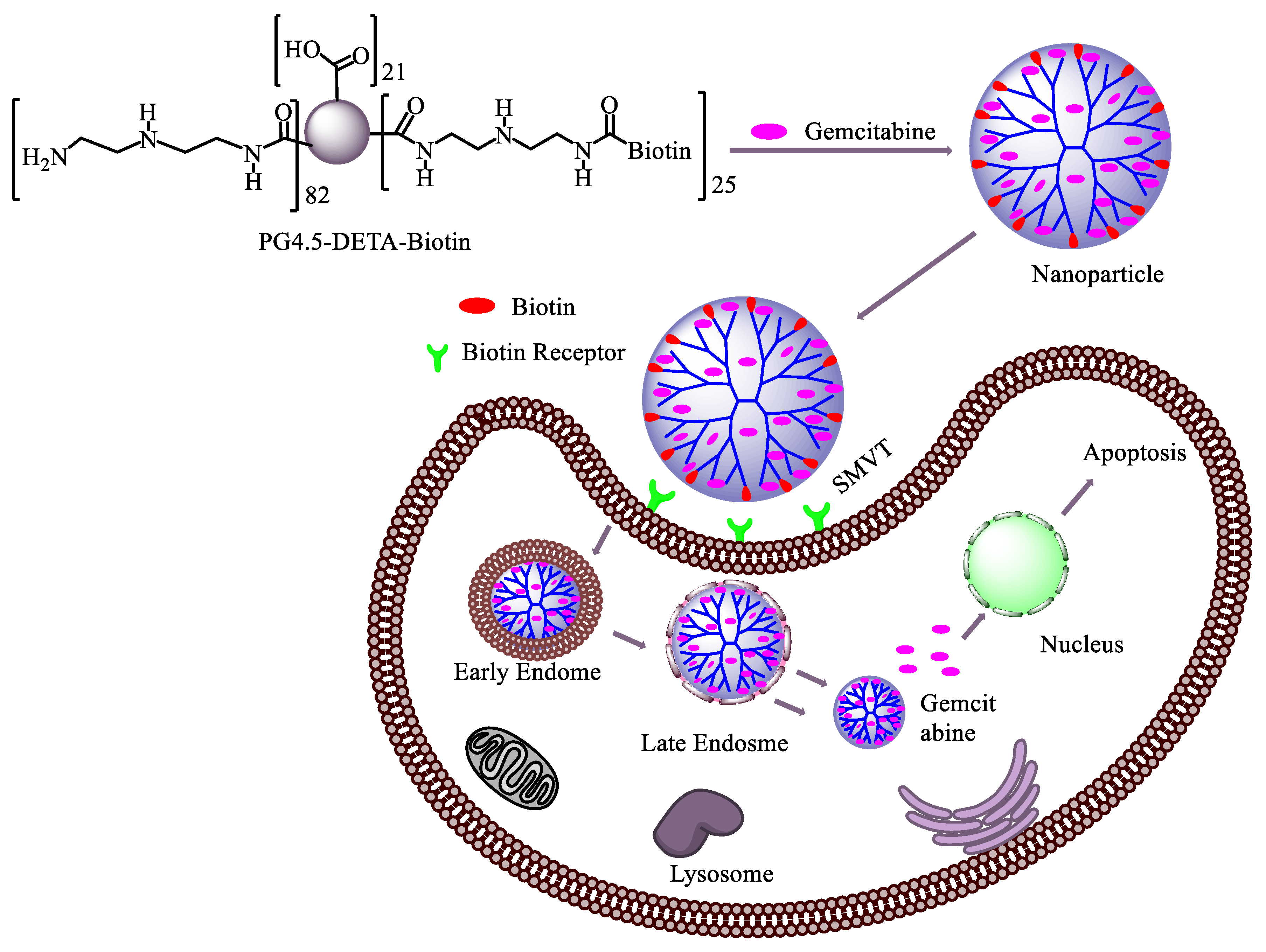 Pharmaceutics 12 00443 sch002 Pharmaceutics 12 00443 sch002