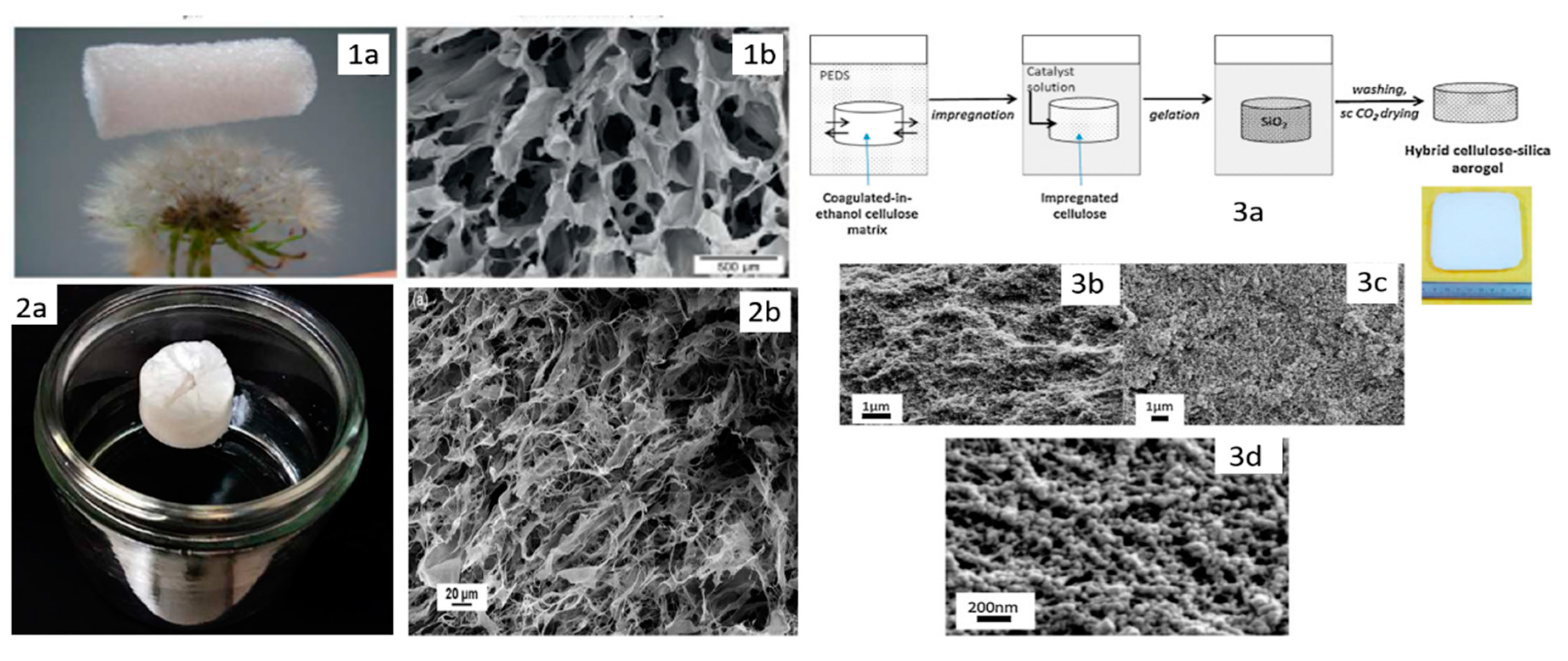 Pharmaceutics 12 00449 g004 Pharmaceutics 12 00449 g004