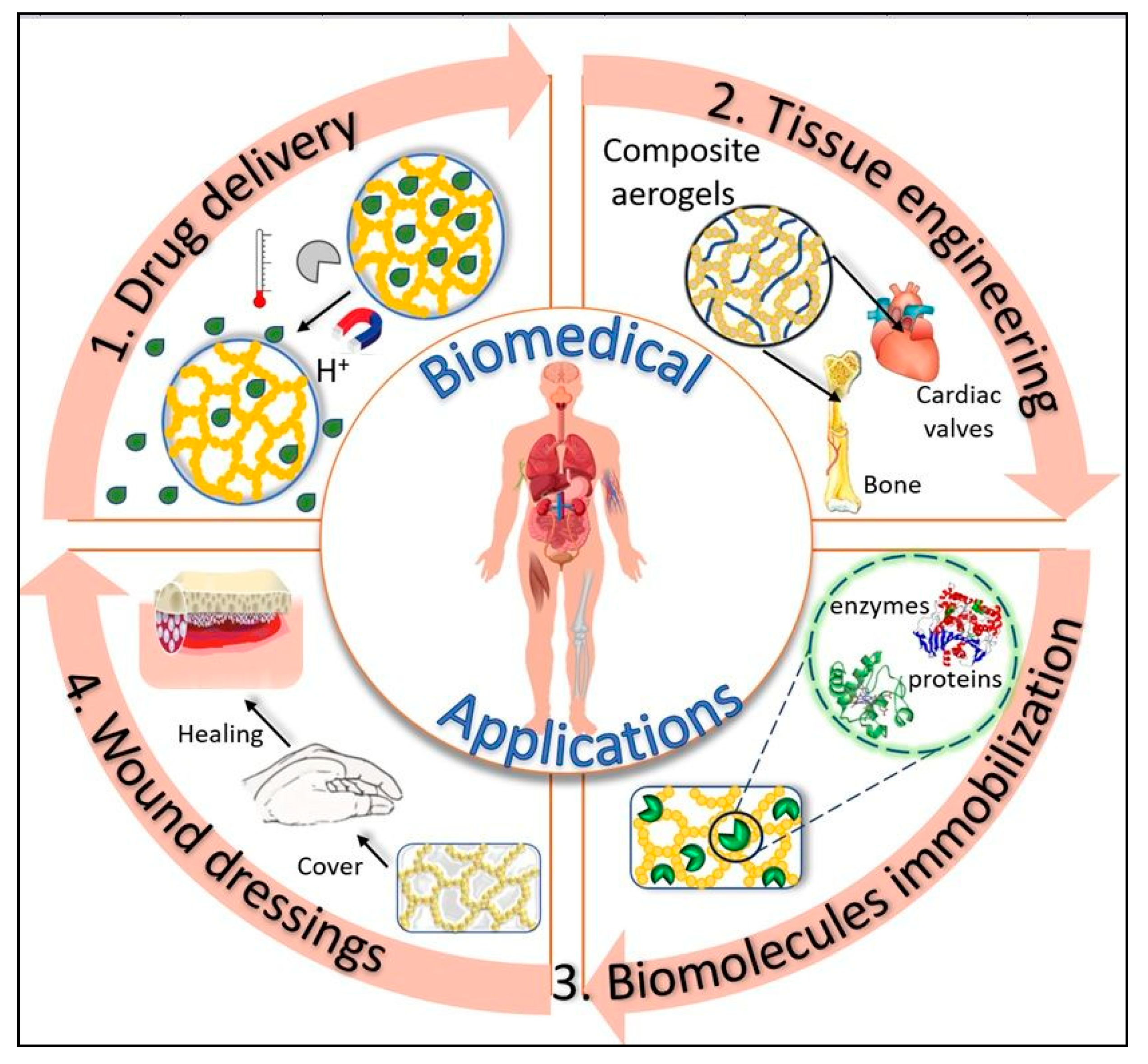 Pharmaceutics 12 00449 g005 Pharmaceutics 12 00449 g005