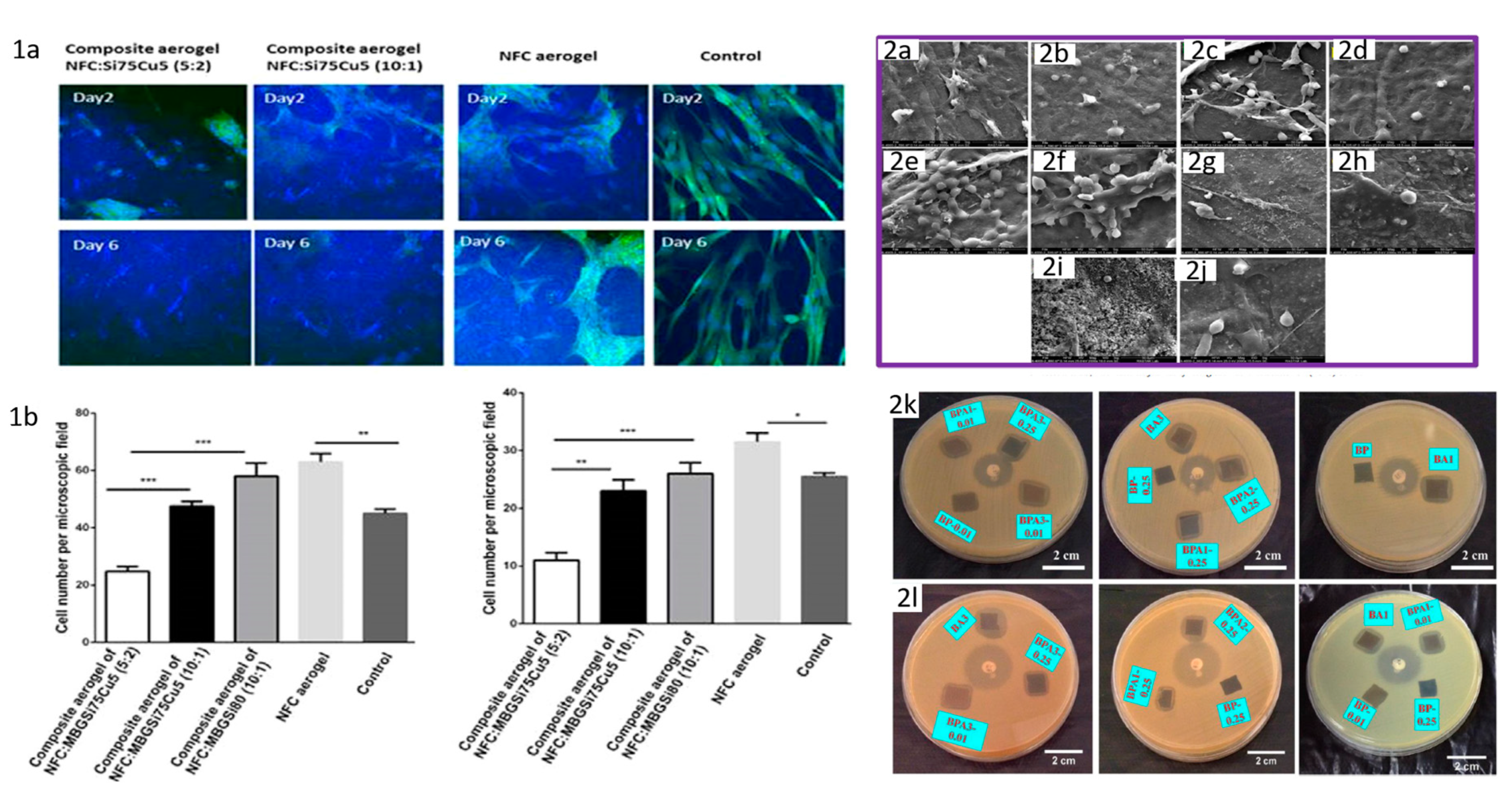 Pharmaceutics 12 00449 g006 Pharmaceutics 12 00449 g006