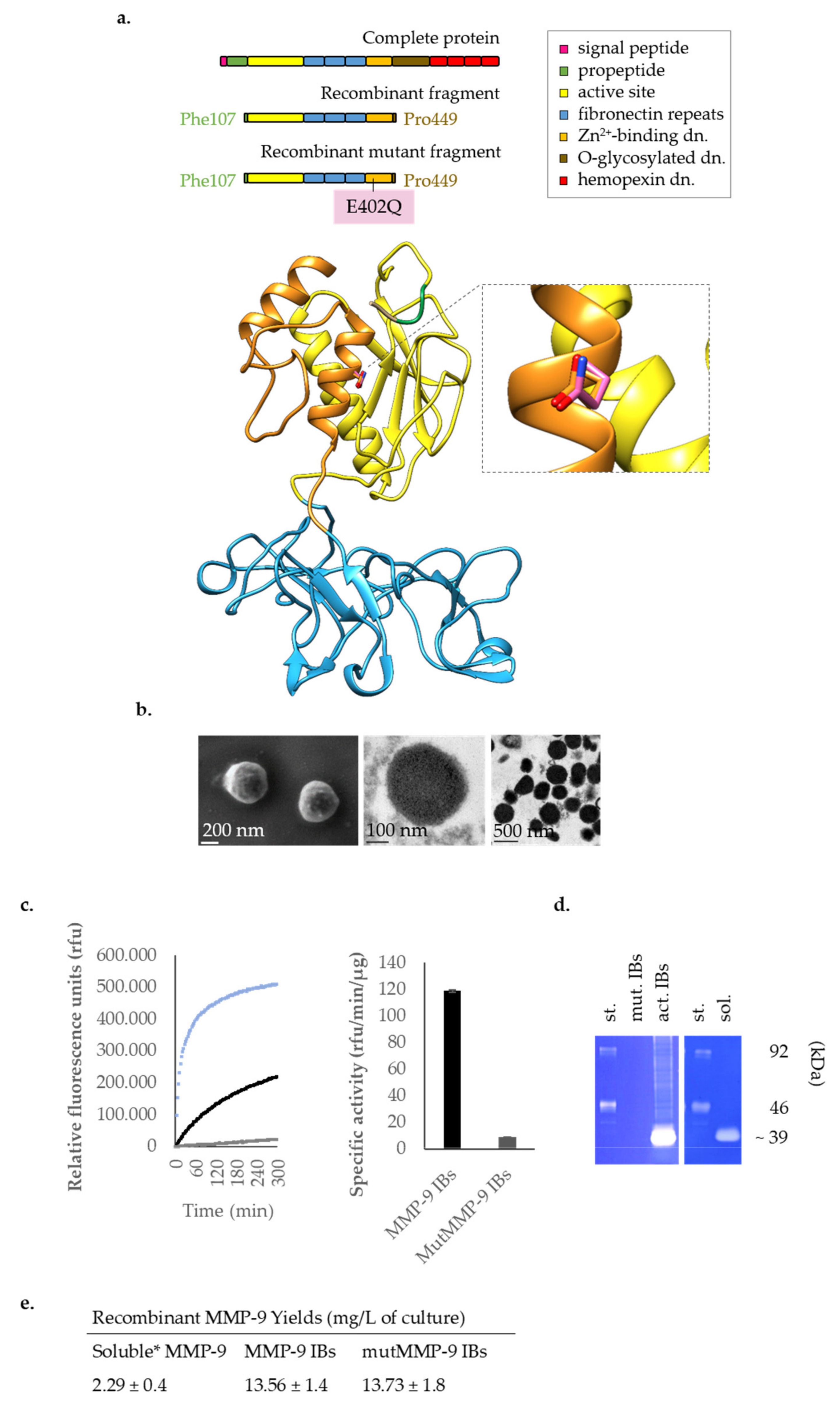 Pharmaceutics Free Full Text Recombinant Protein Based Nanoparticles Elucidating Their Inflammatory Effects In Vivo And Their Potential As A New Therapeutic Format Html