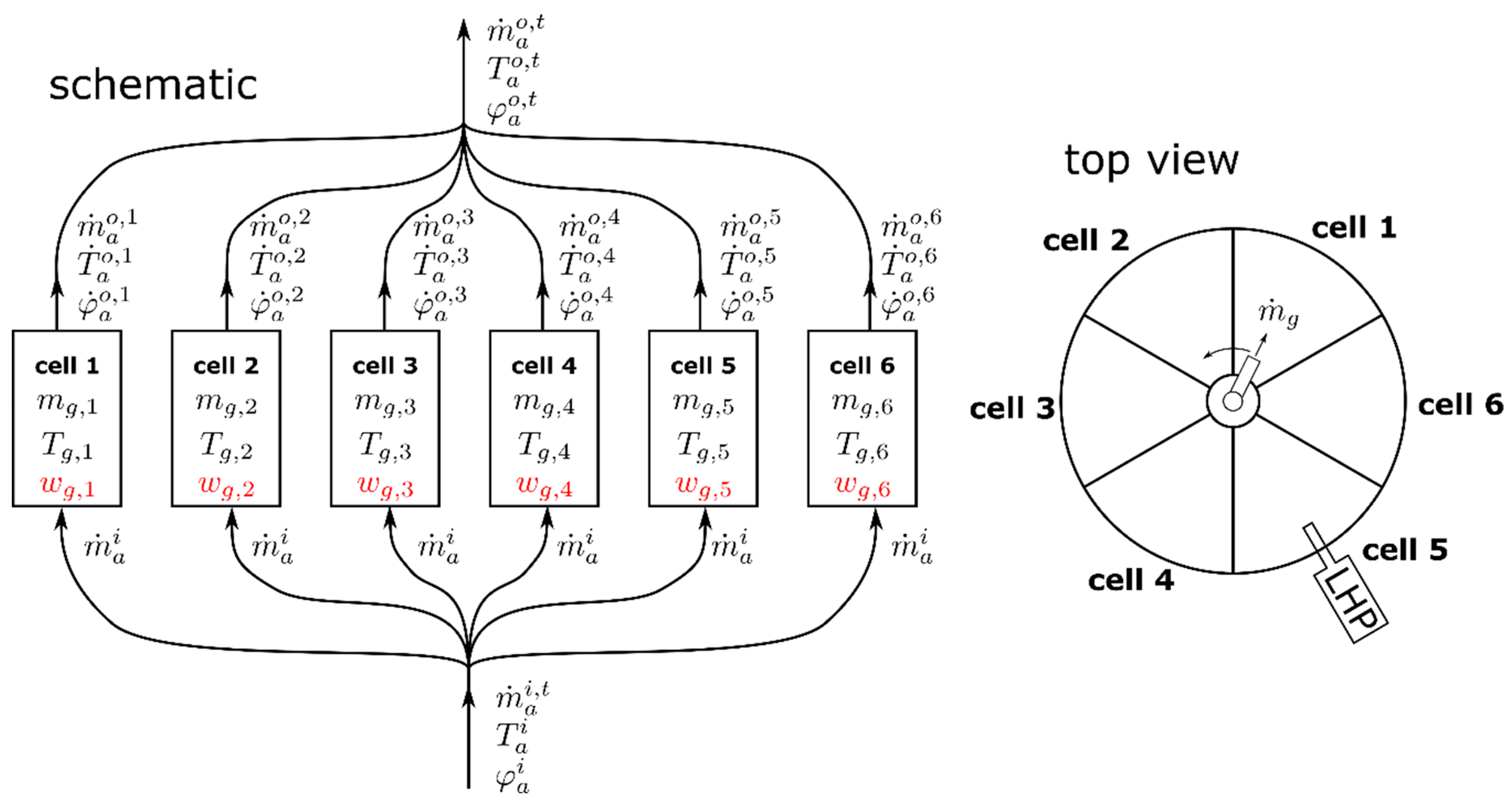 Pharmaceutics 12 00452 g002