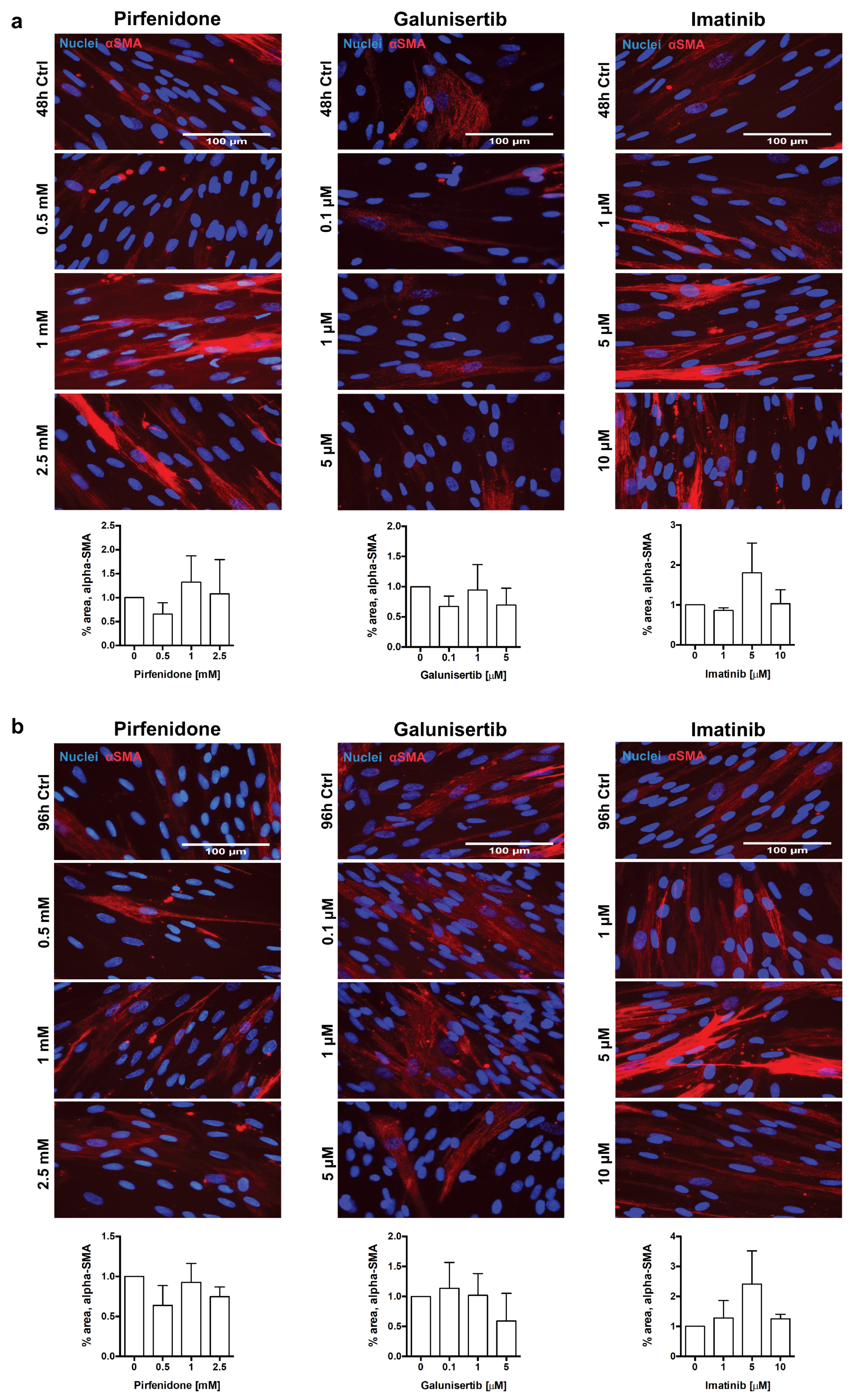 Pharmaceutics 12 00459 g008