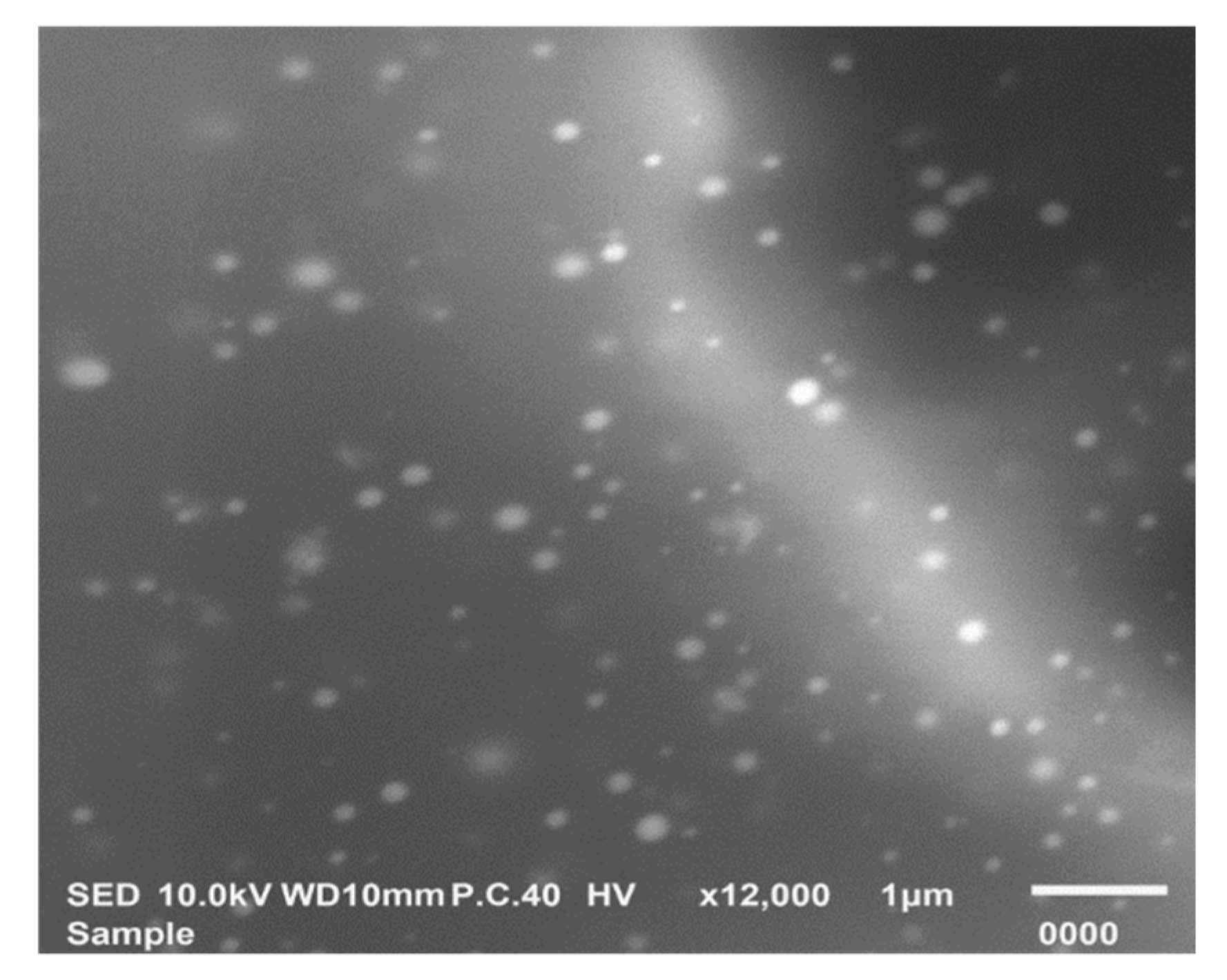 Pharmaceutics 12 00465 g007
