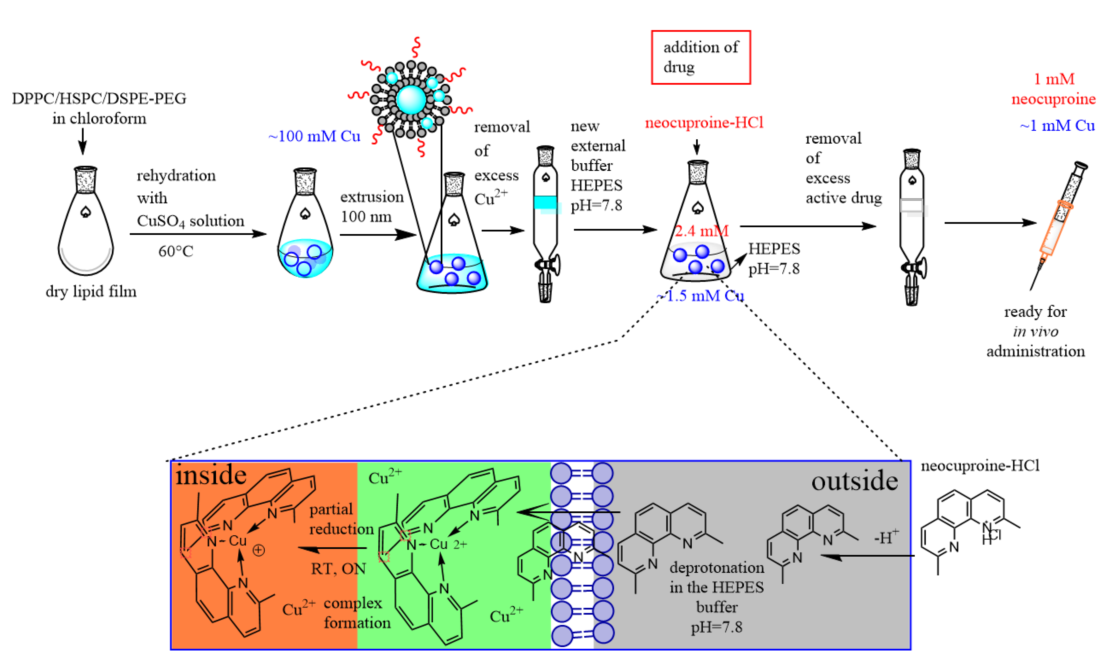 Pharmaceutics 12 00466 g001