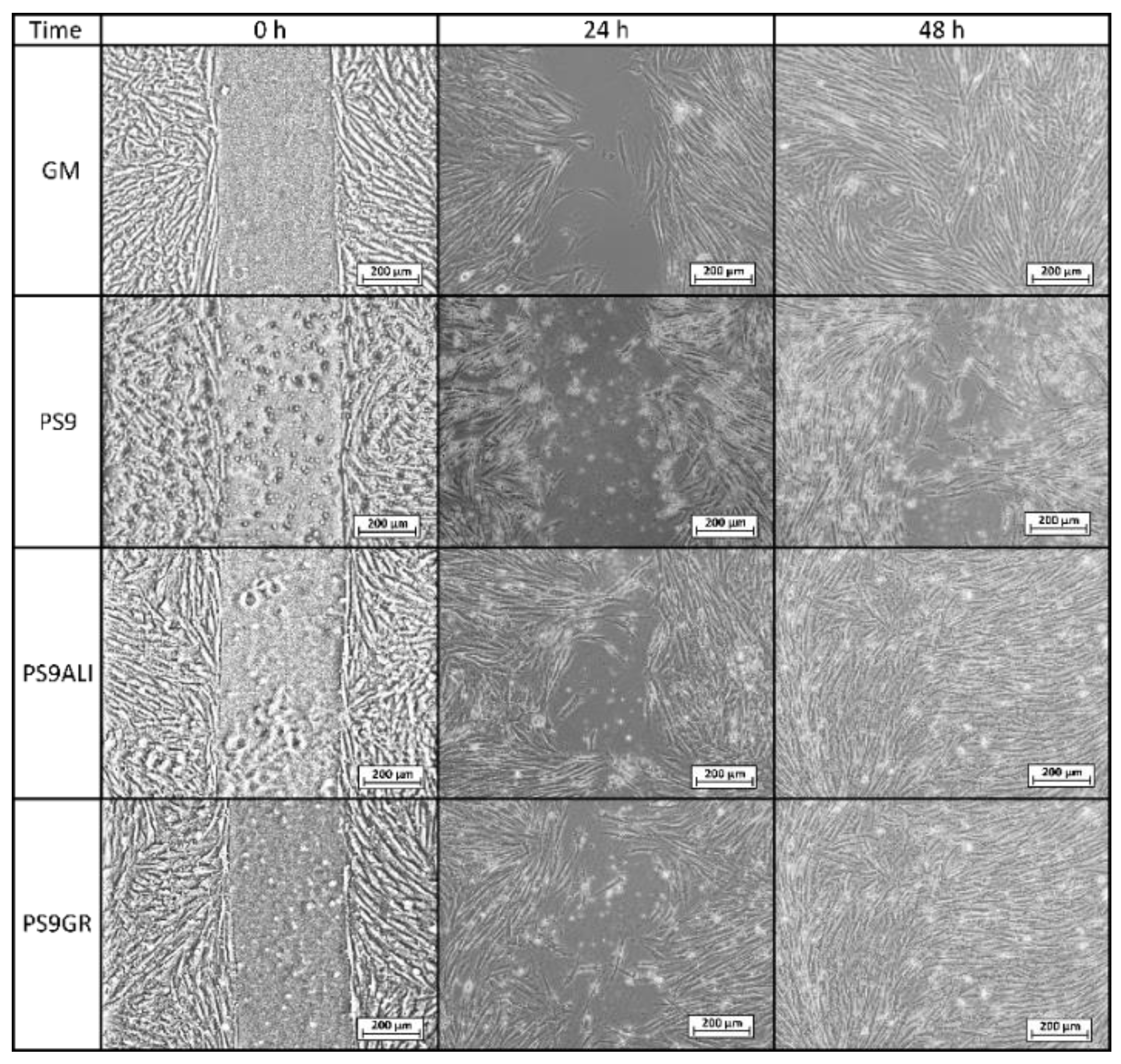 Pharmaceutics 12 00467 g006