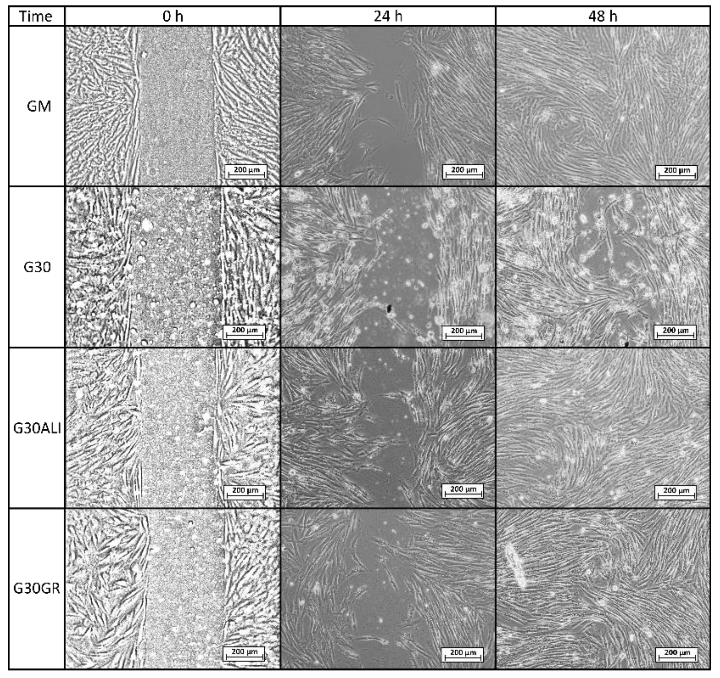 Pharmaceutics 12 00467 g007