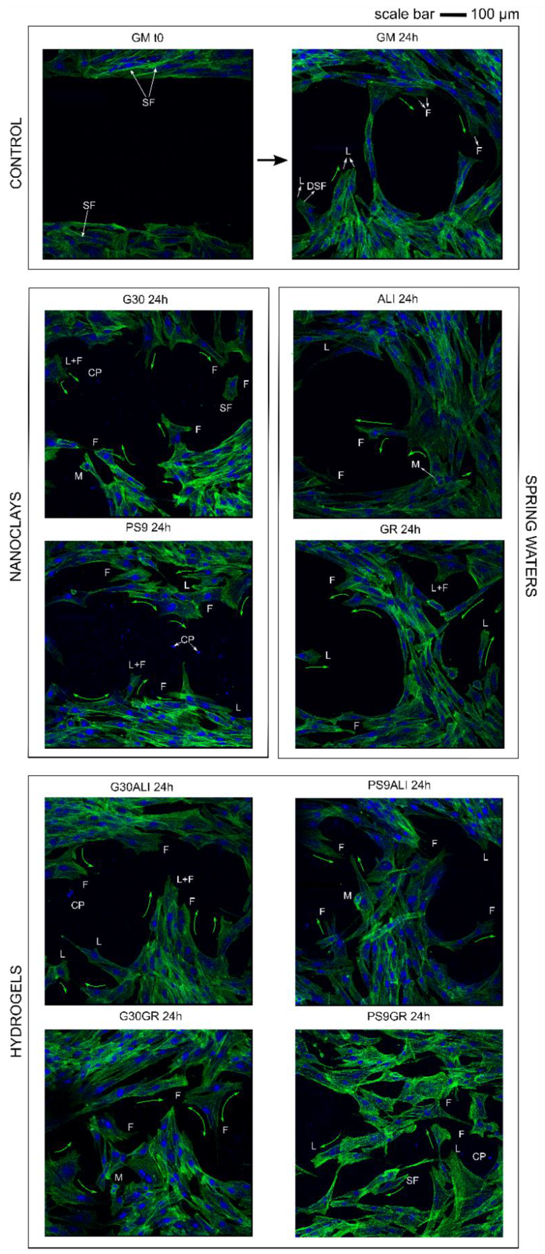 Pharmaceutics 12 00467 g009