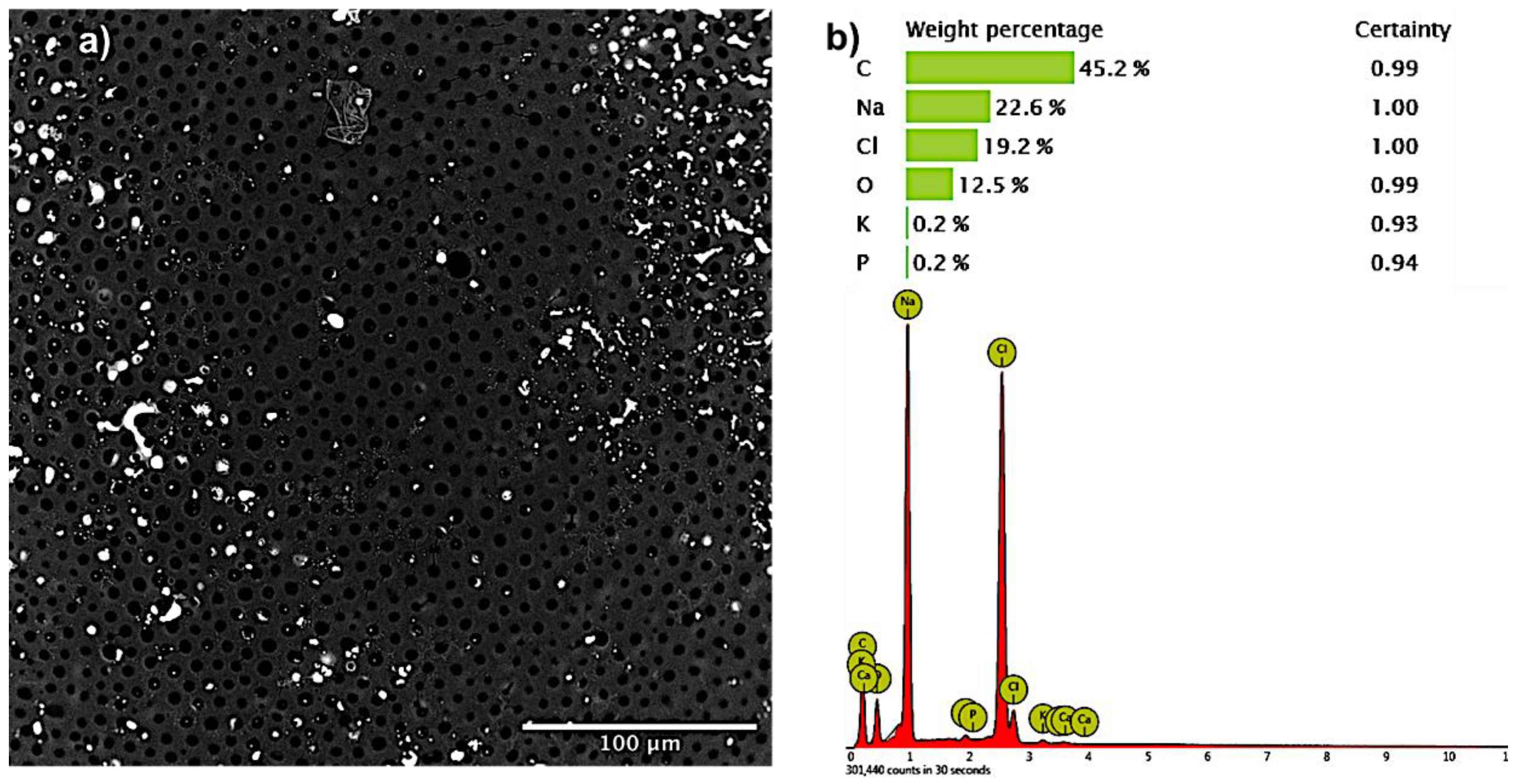 Pharmaceutics 12 00469 g003