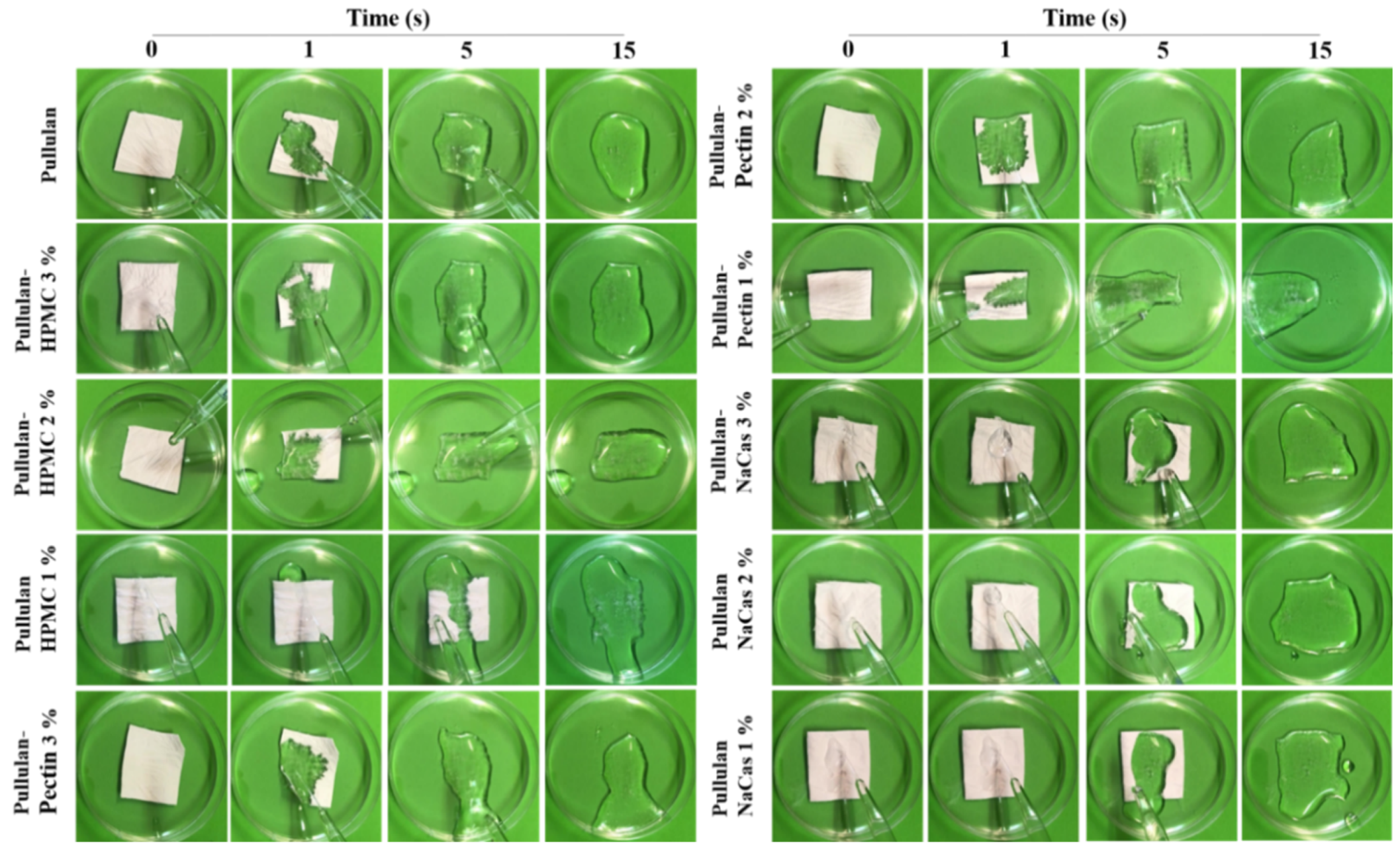 Pharmaceutics 12 00470 g006