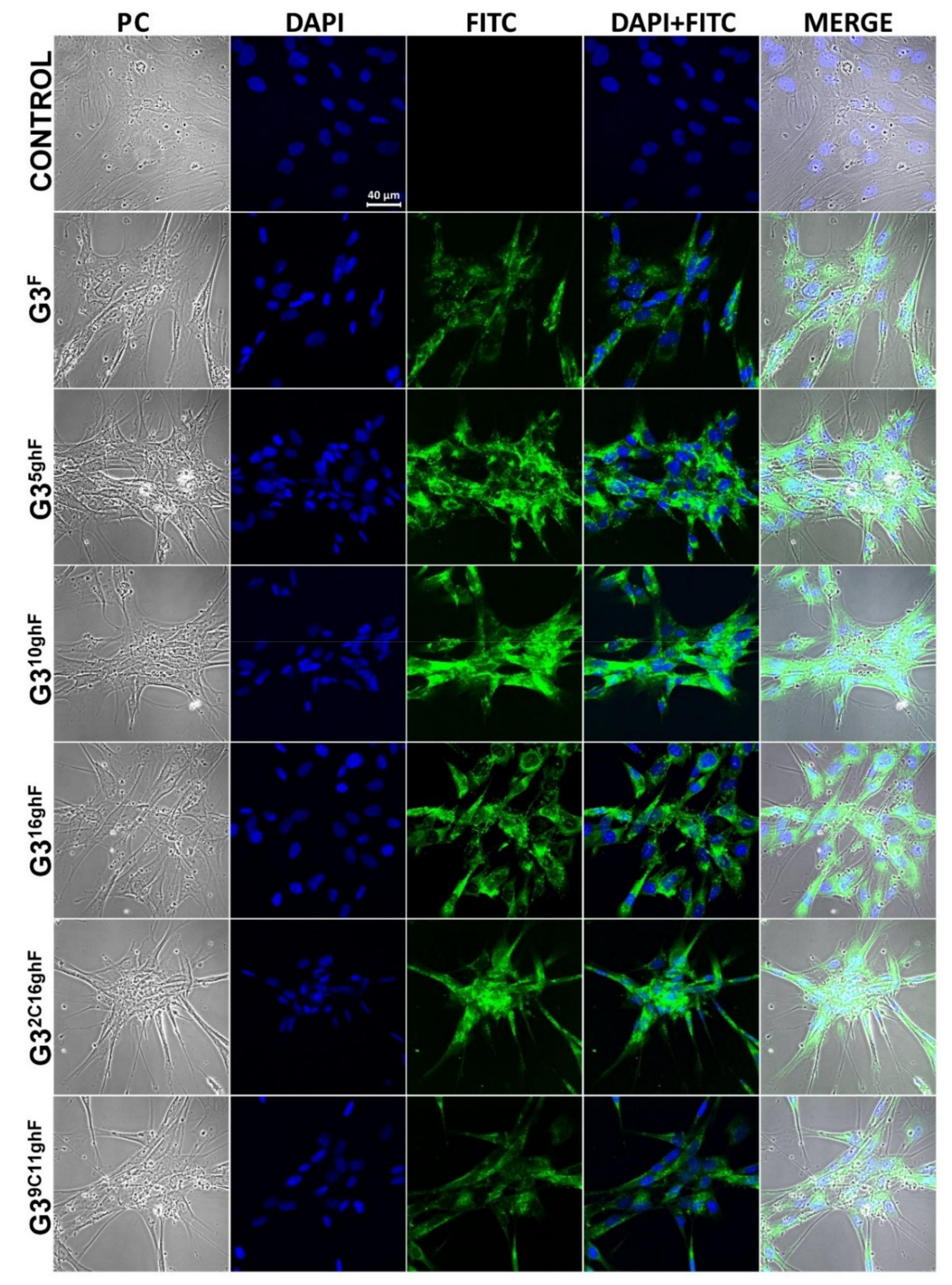 Pharmaceutics 12 00473 g012