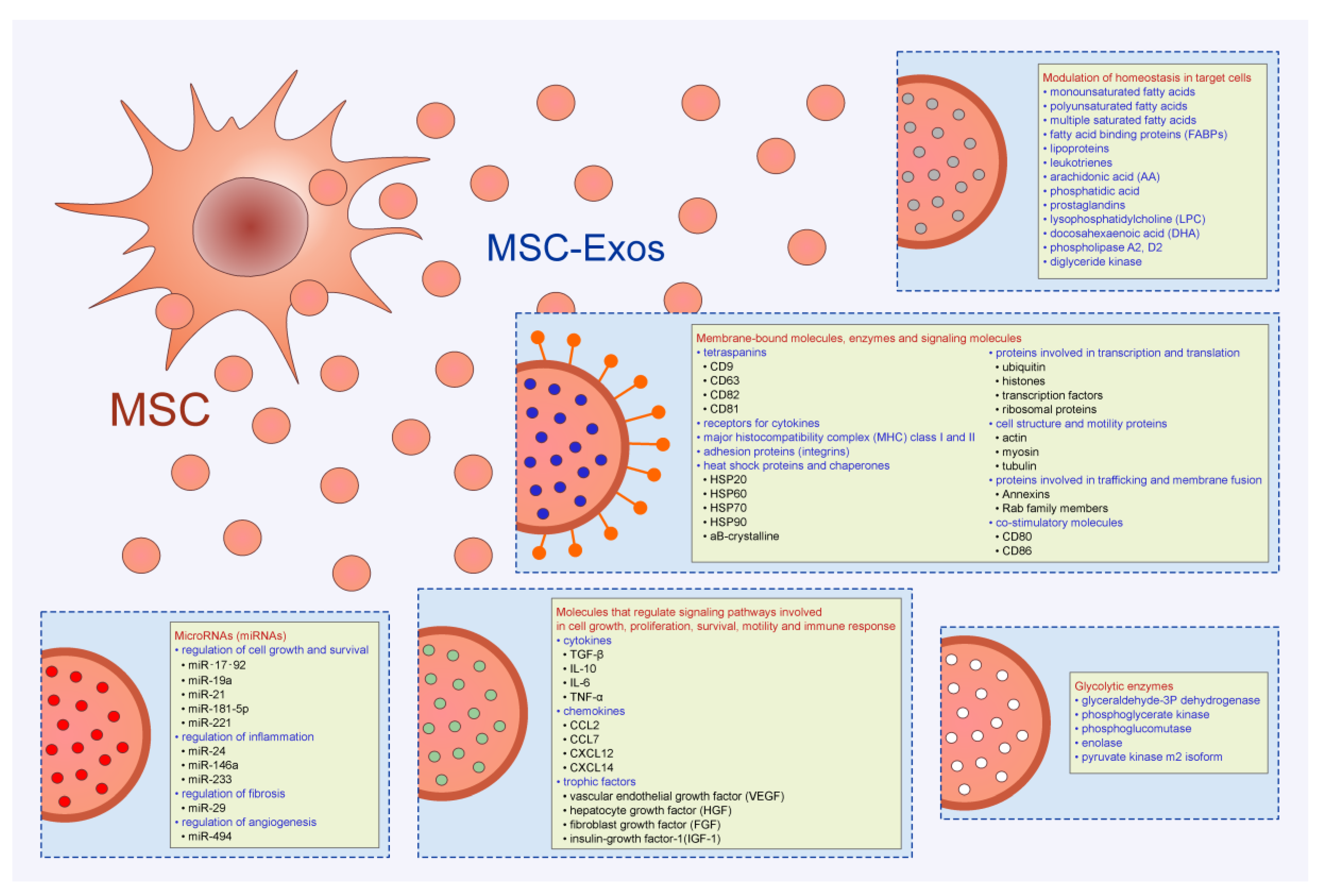 Pharmaceutics 12 00474 g001 Pharmaceutics 12 00474 g001