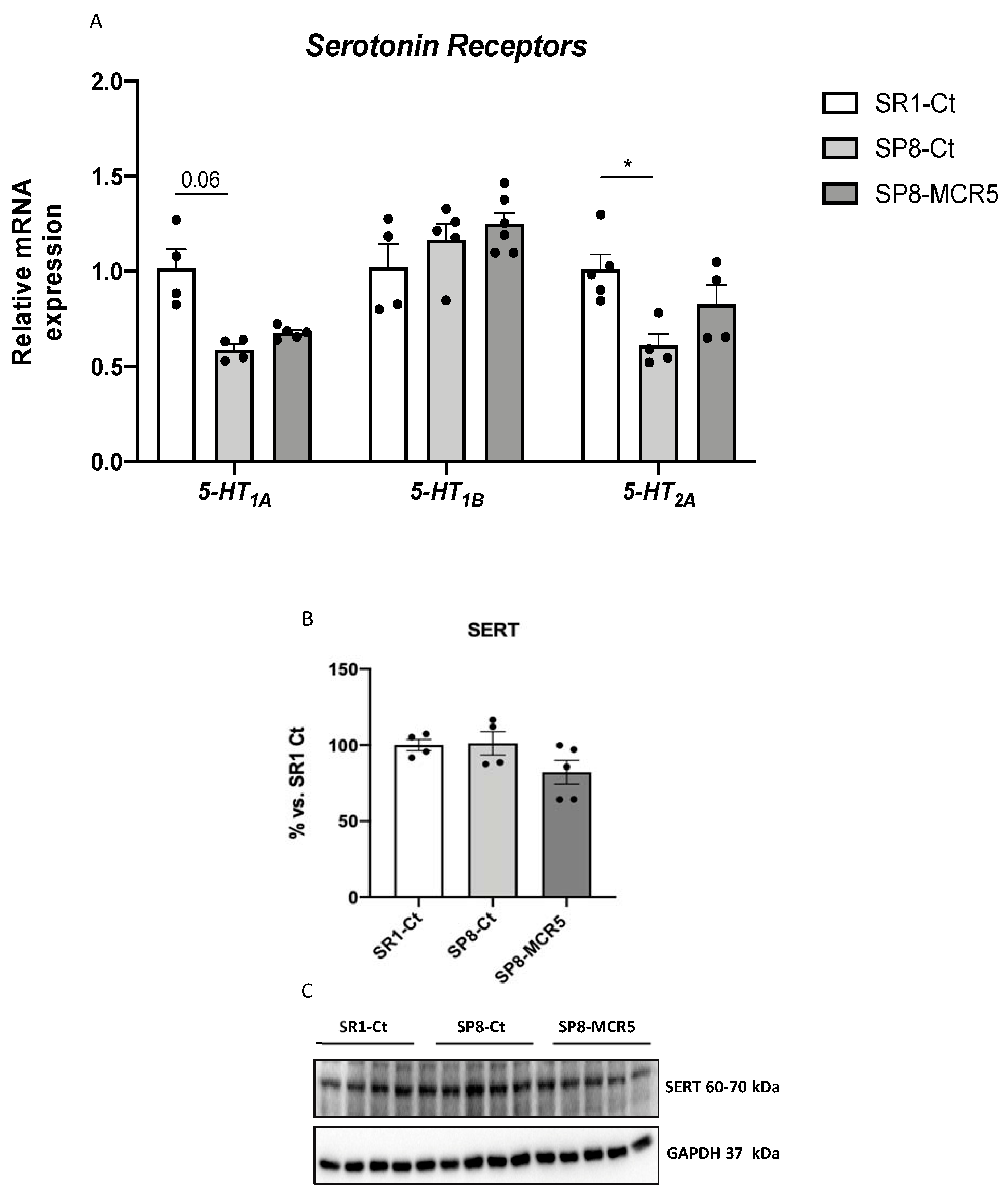 Pharmaceutics 12 00475 g004 Pharmaceutics 12 00475 g004