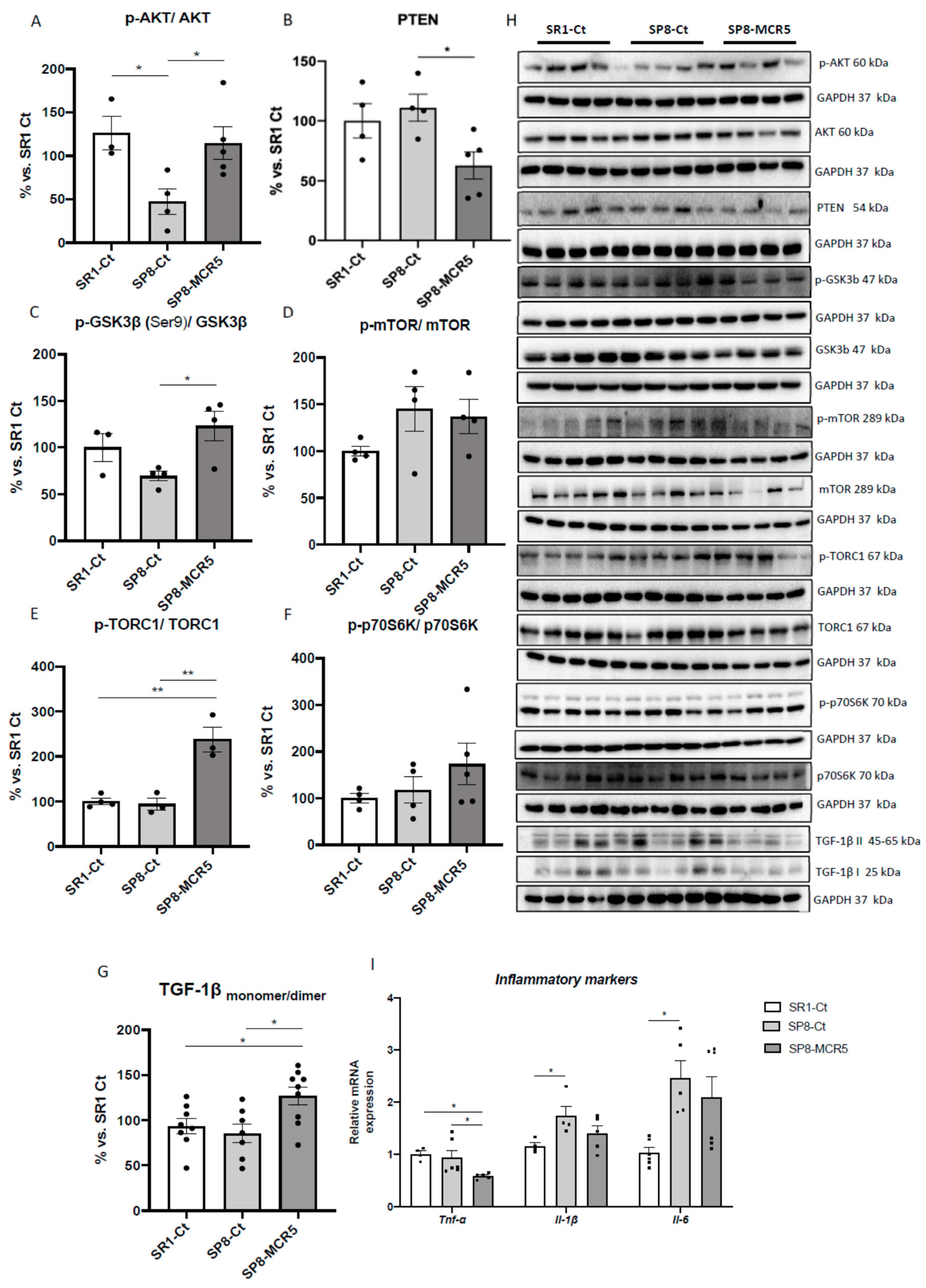 Pharmaceutics 12 00475 g005 Pharmaceutics 12 00475 g005