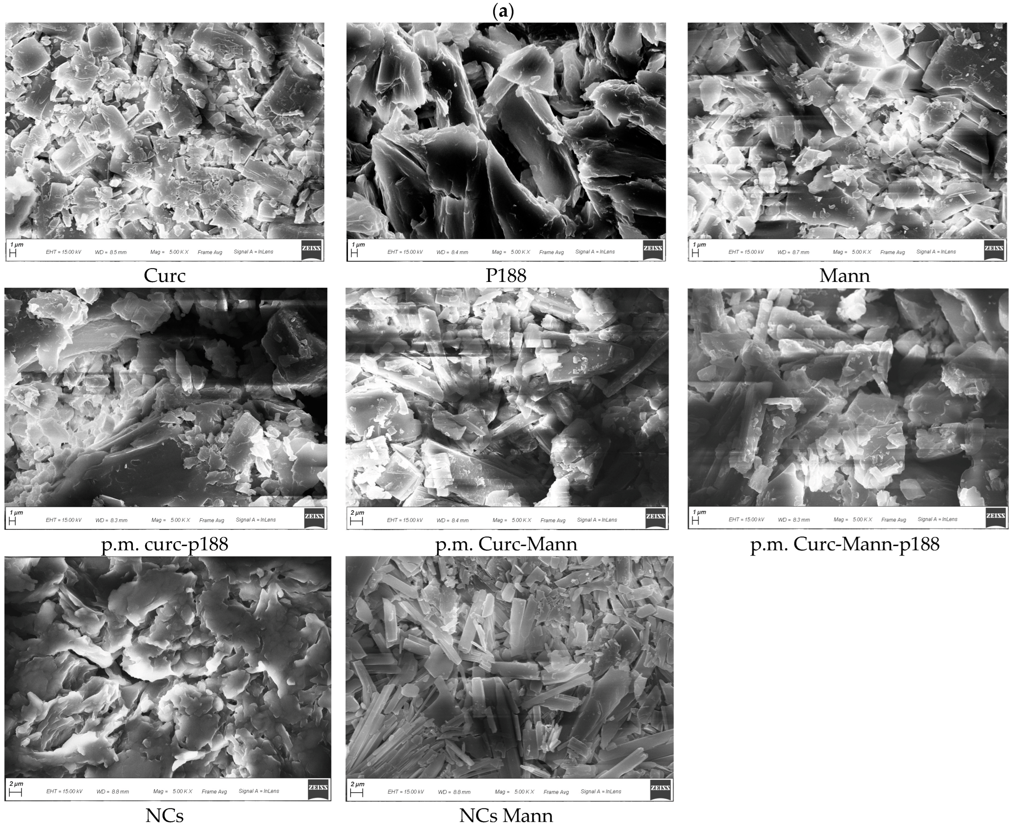 Pharmaceutics 12 00476 g005a Pharmaceutics 12 00476 g005a
