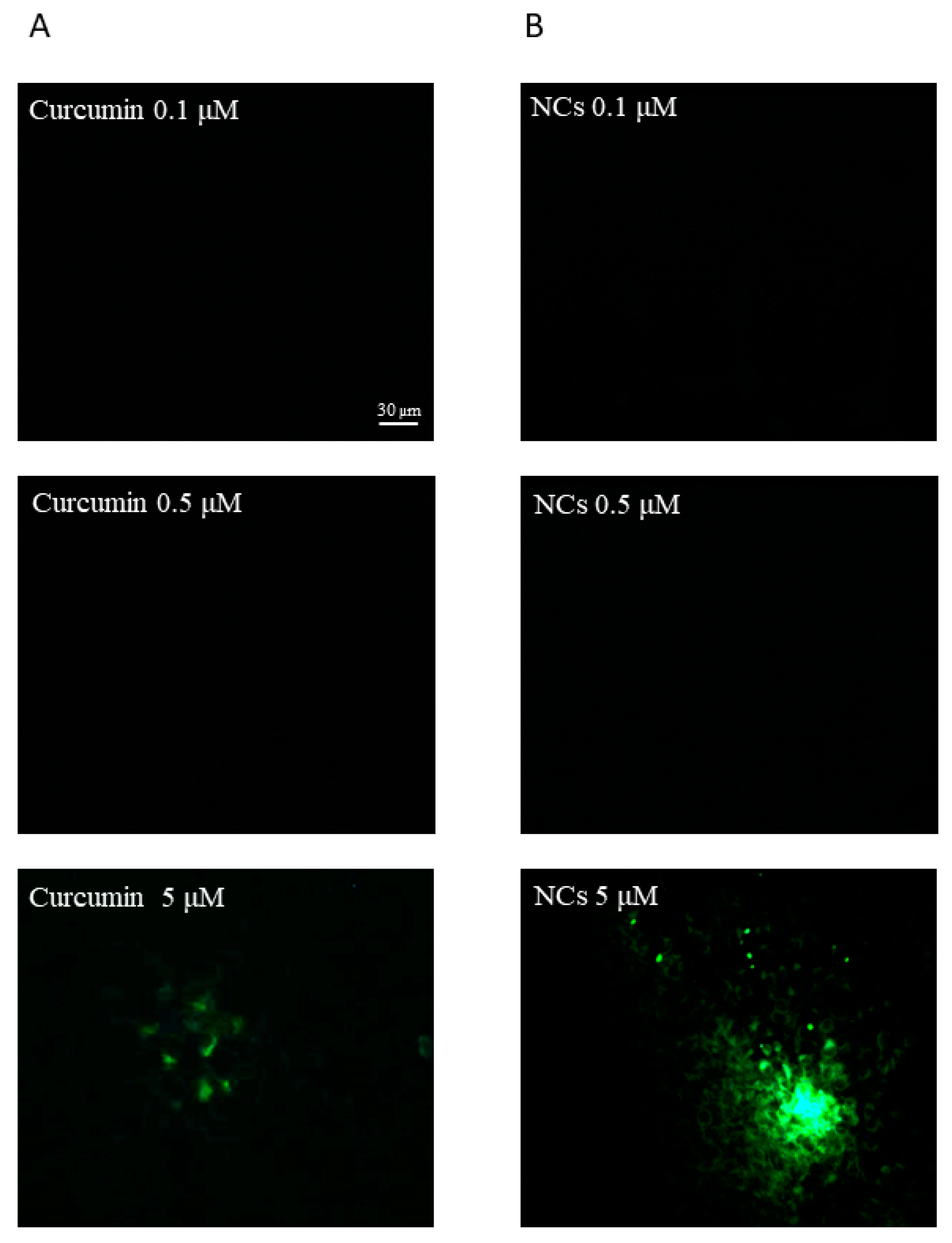 Pharmaceutics 12 00476 g007 Pharmaceutics 12 00476 g007