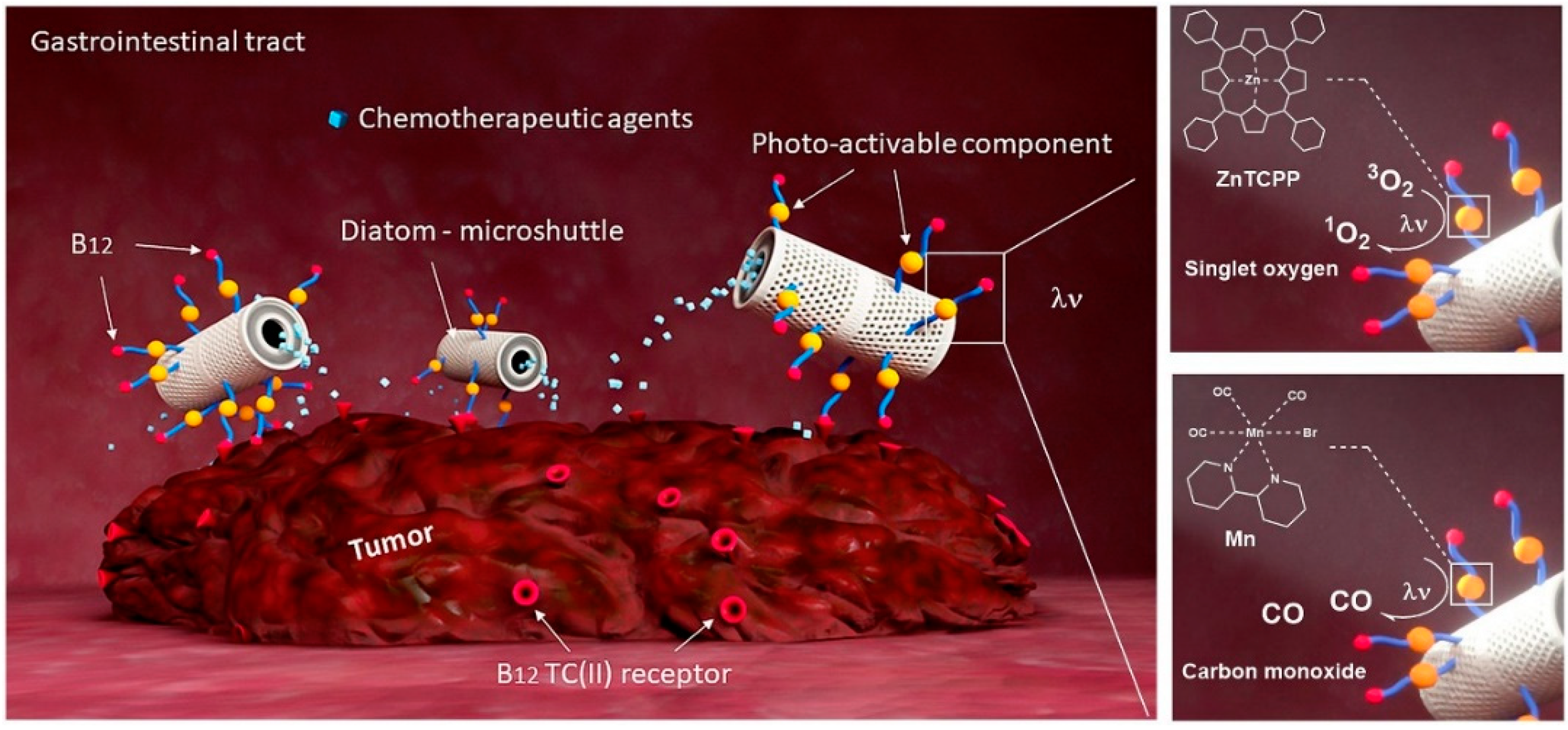 Pharmaceutics 12 00480 g001