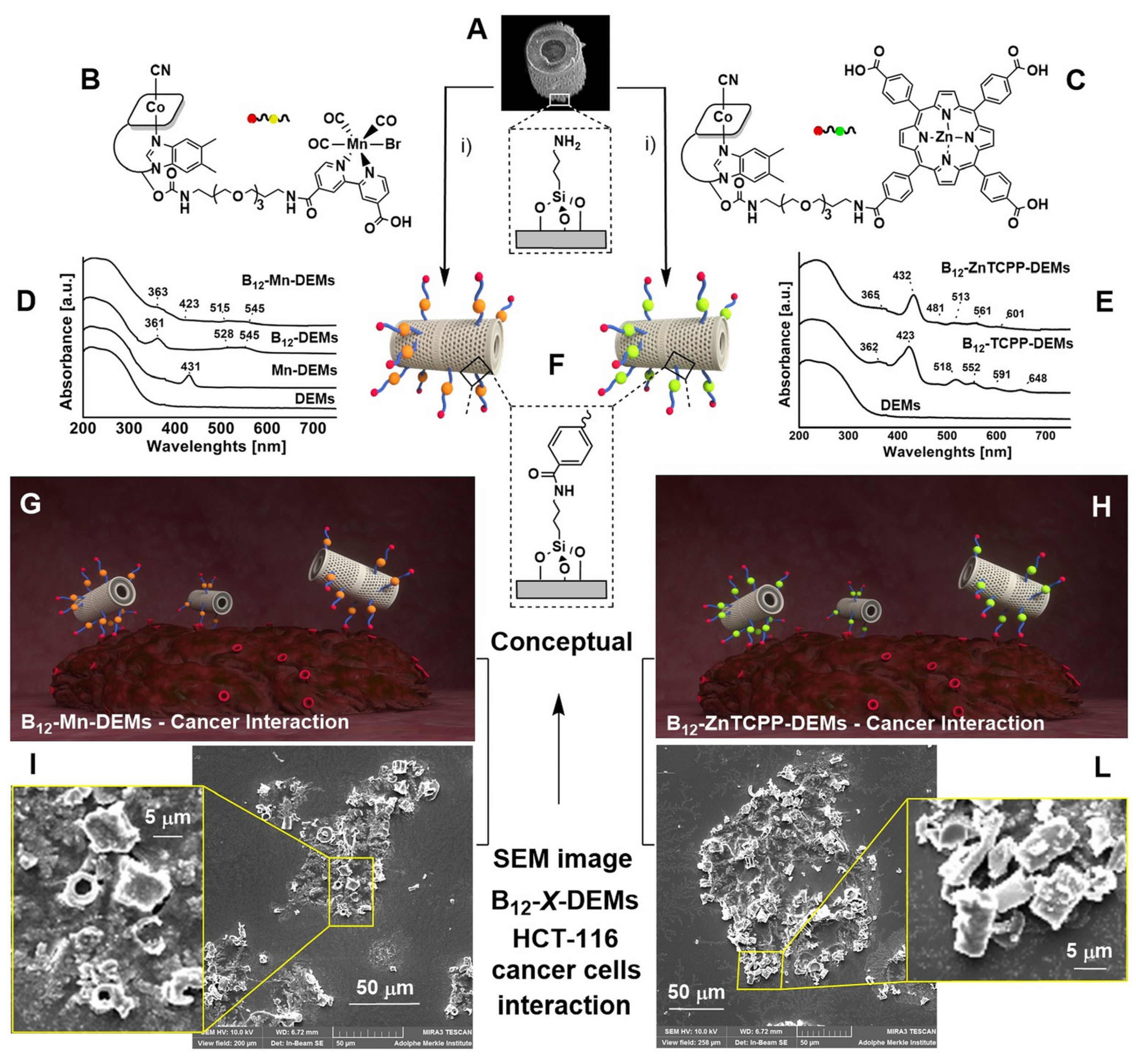 Pharmaceutics 12 00480 g002