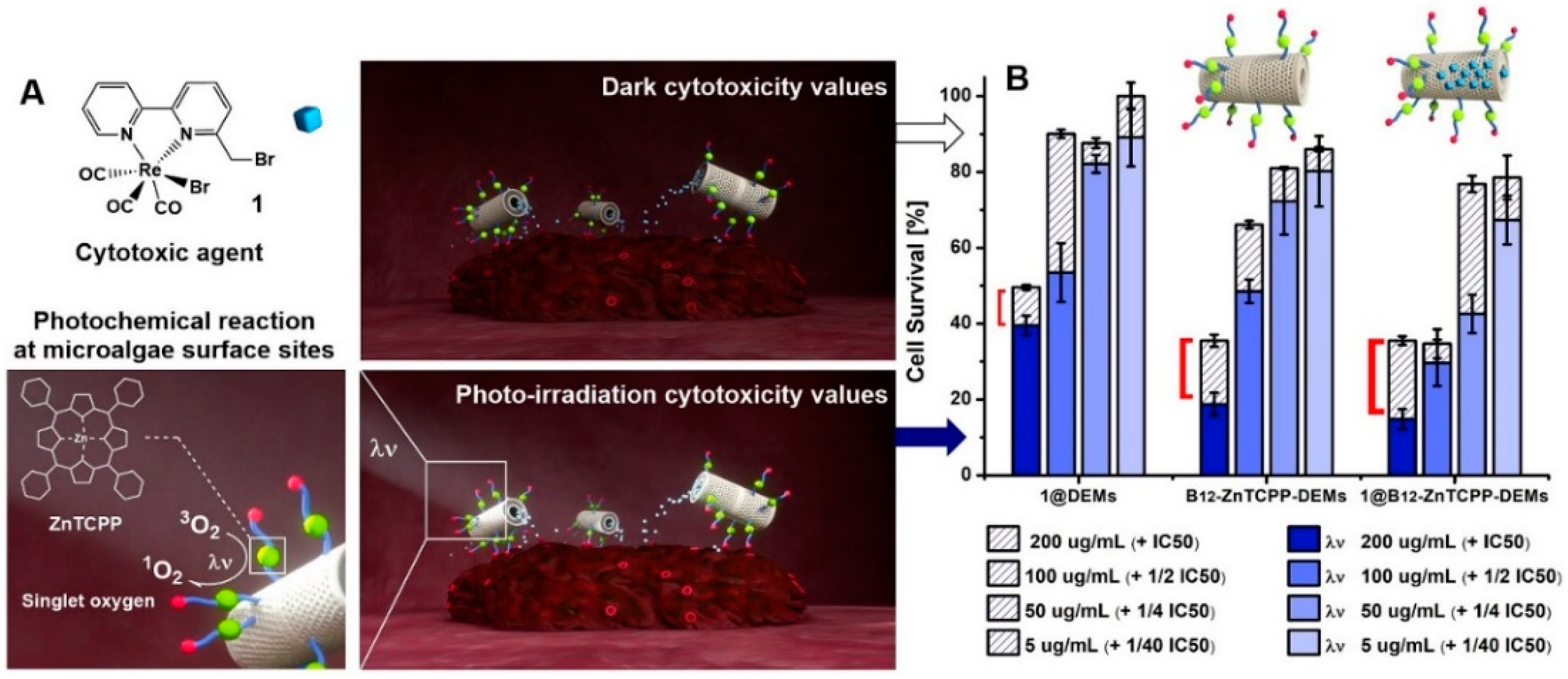Pharmaceutics 12 00480 g005