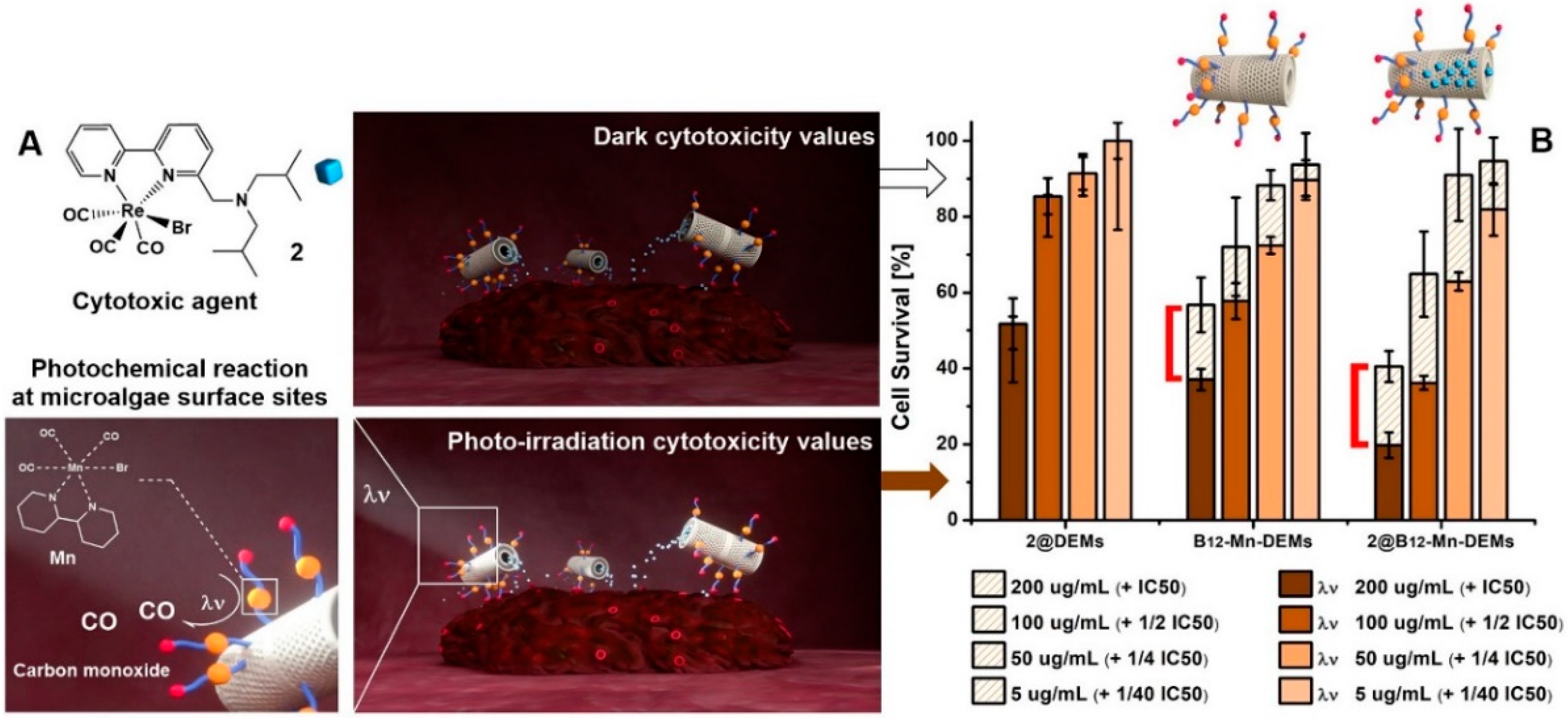 Pharmaceutics 12 00480 g006