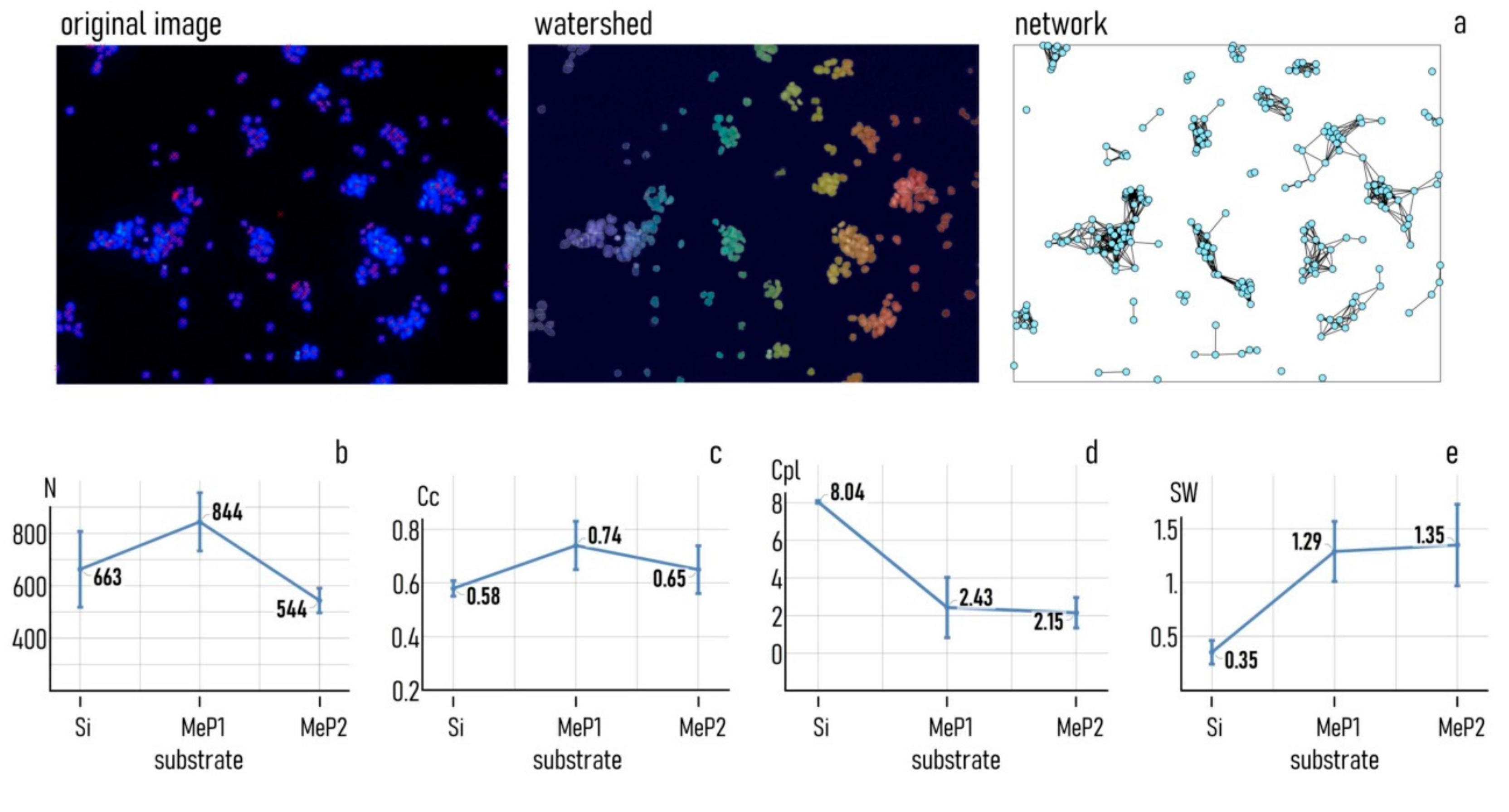 Pharmaceutics 12 00481 g005