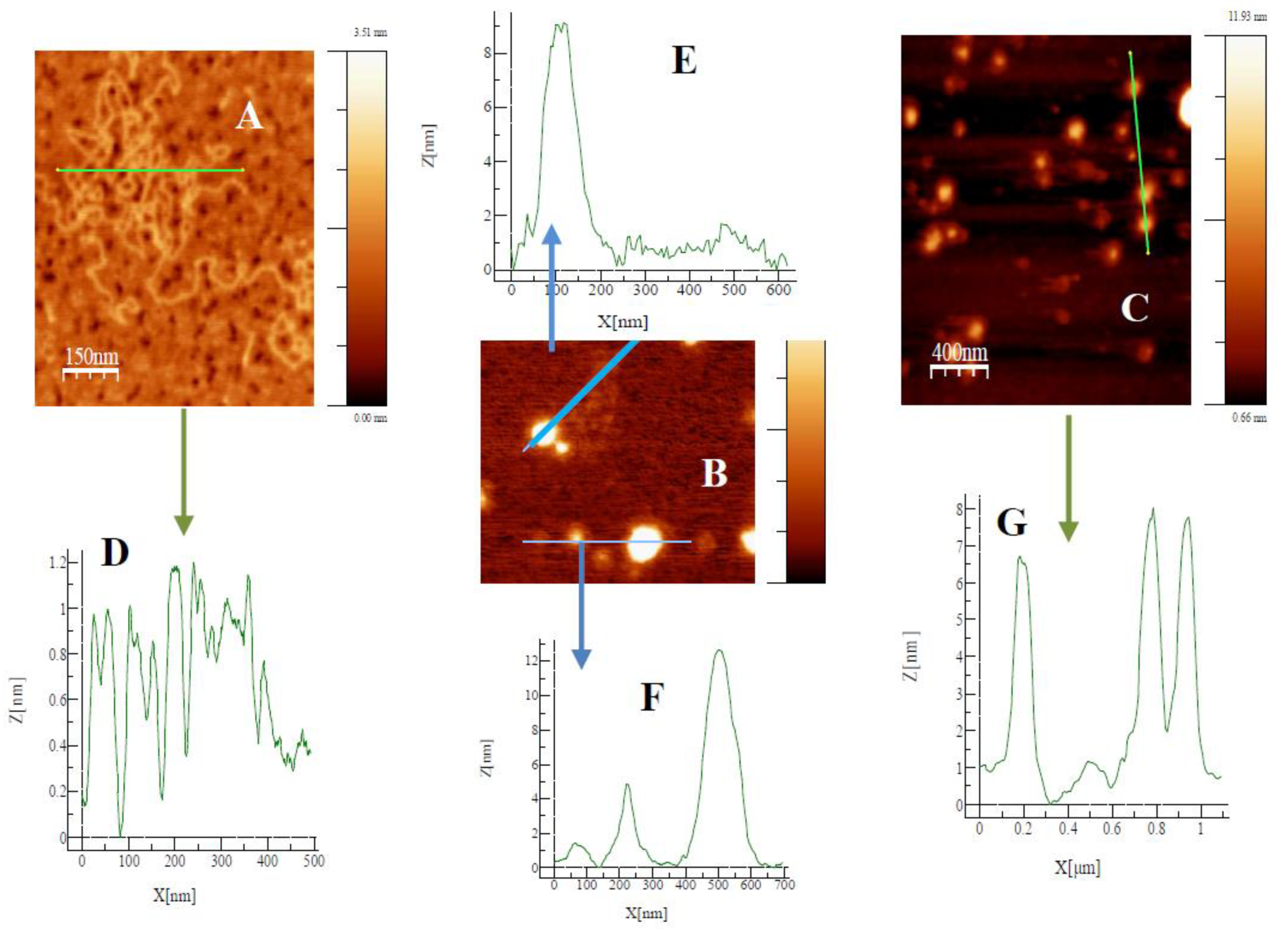 Pharmaceutics 12 00482 g007