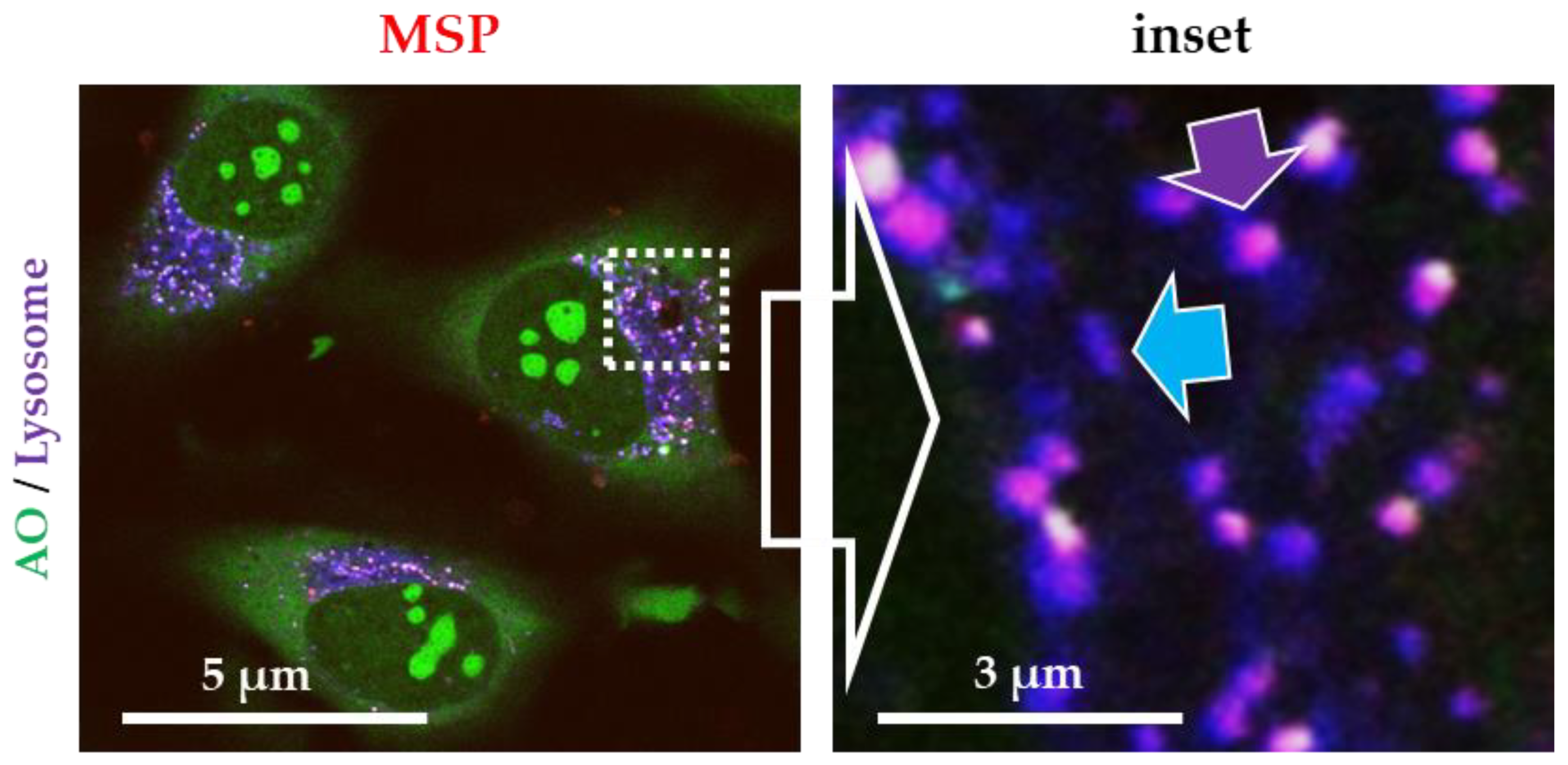 Pharmaceutics 12 00487 g001 Pharmaceutics 12 00487 g001