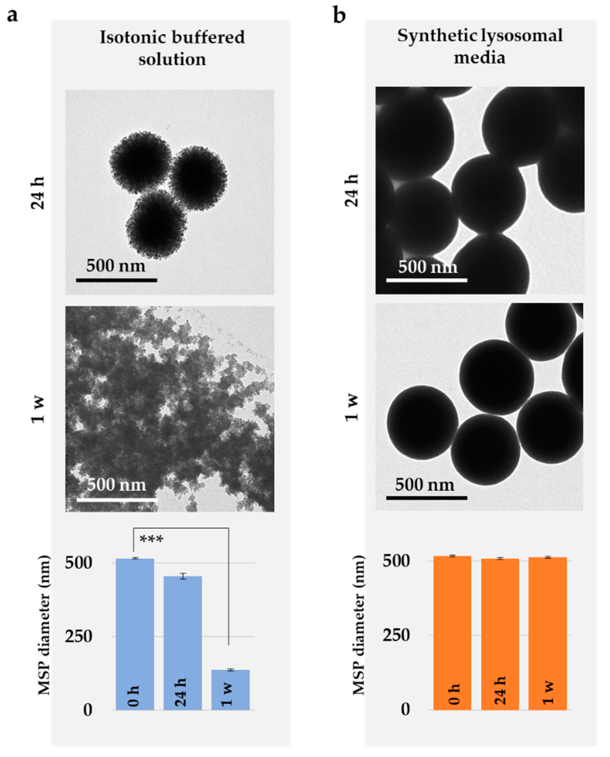 Pharmaceutics 12 00487 g005 Pharmaceutics 12 00487 g005