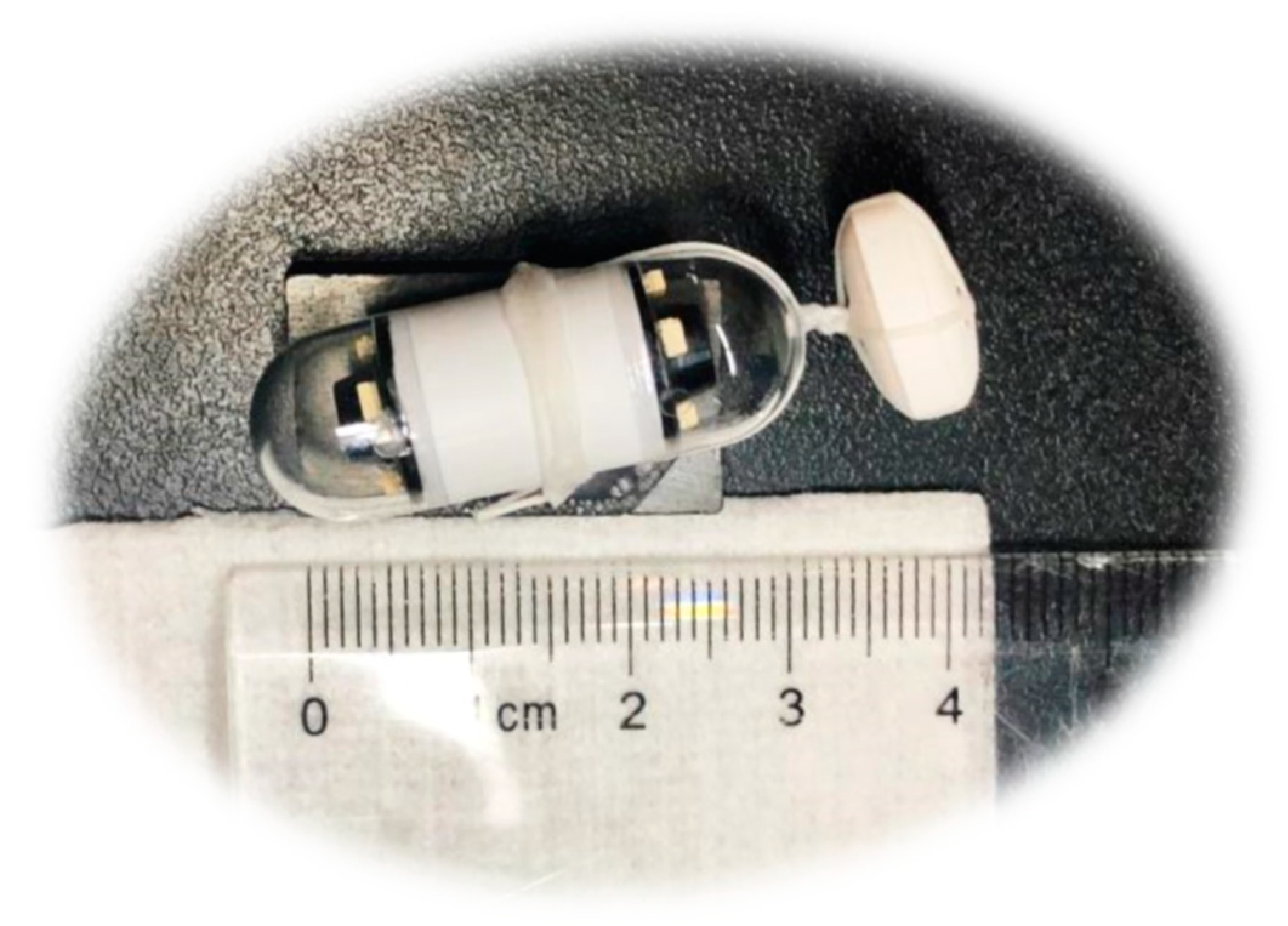 Pharmaceutics 12 00498 g001