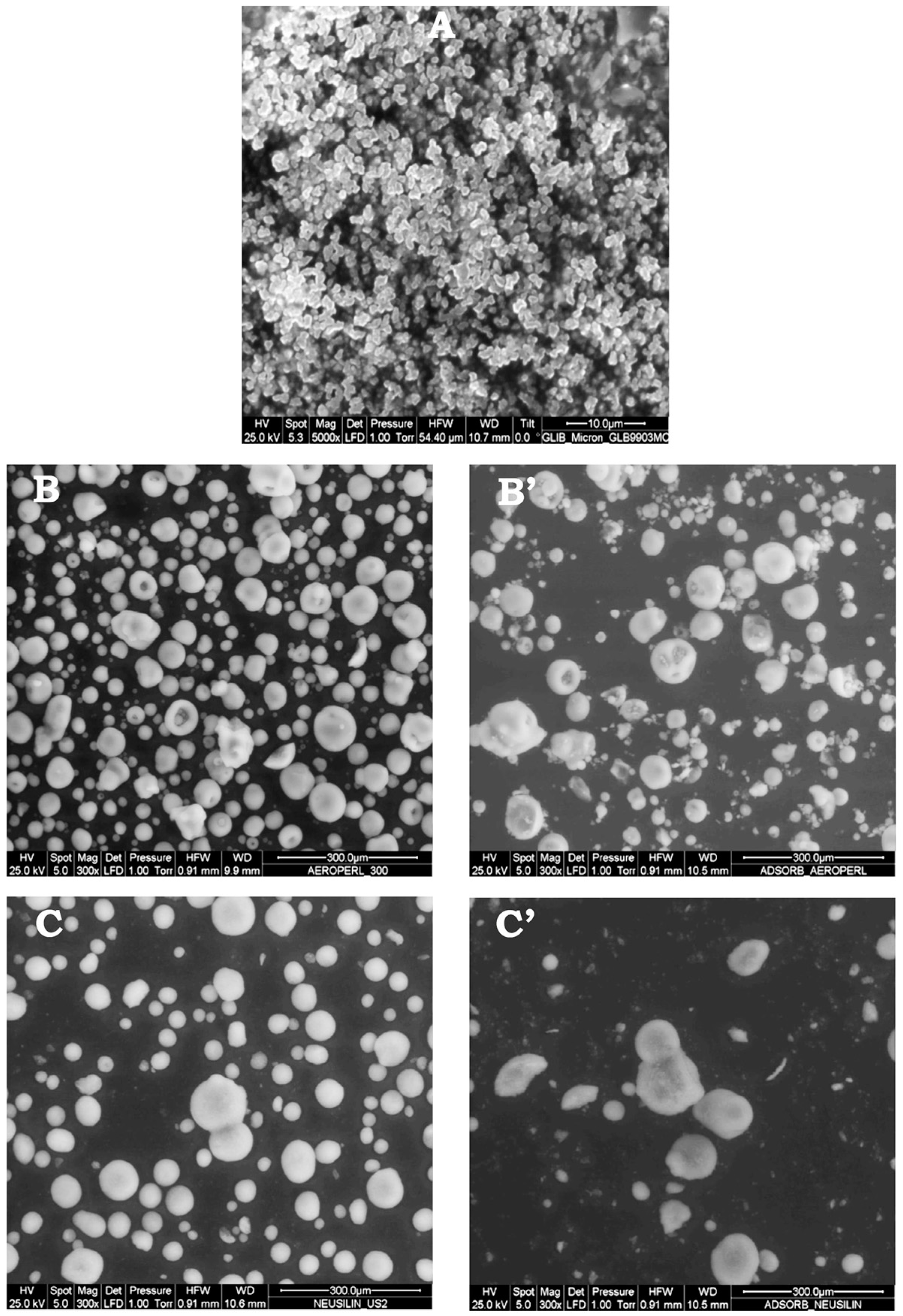 Pharmaceutics 12 00503 g005