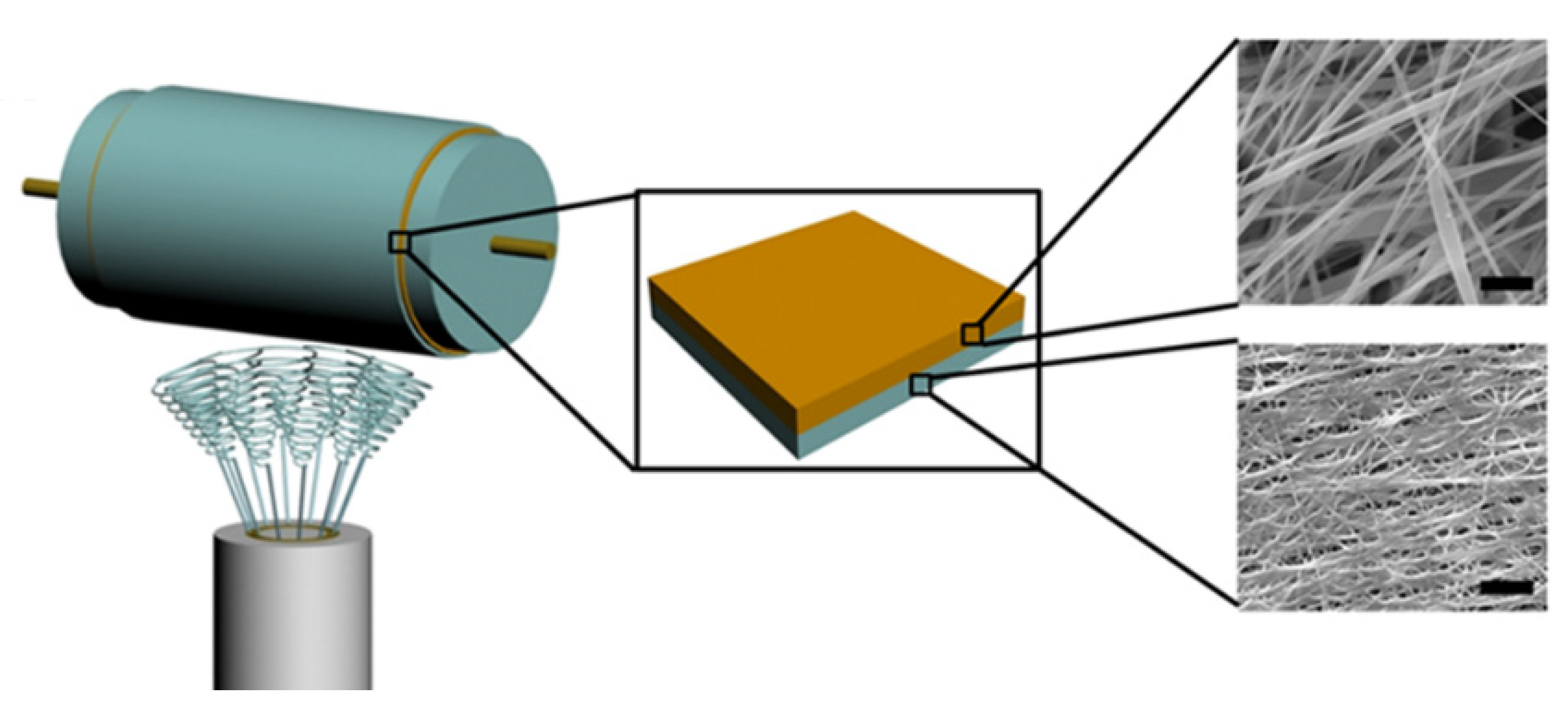 Pharmaceutics 12 00504 g005 Pharmaceutics 12 00504 g005