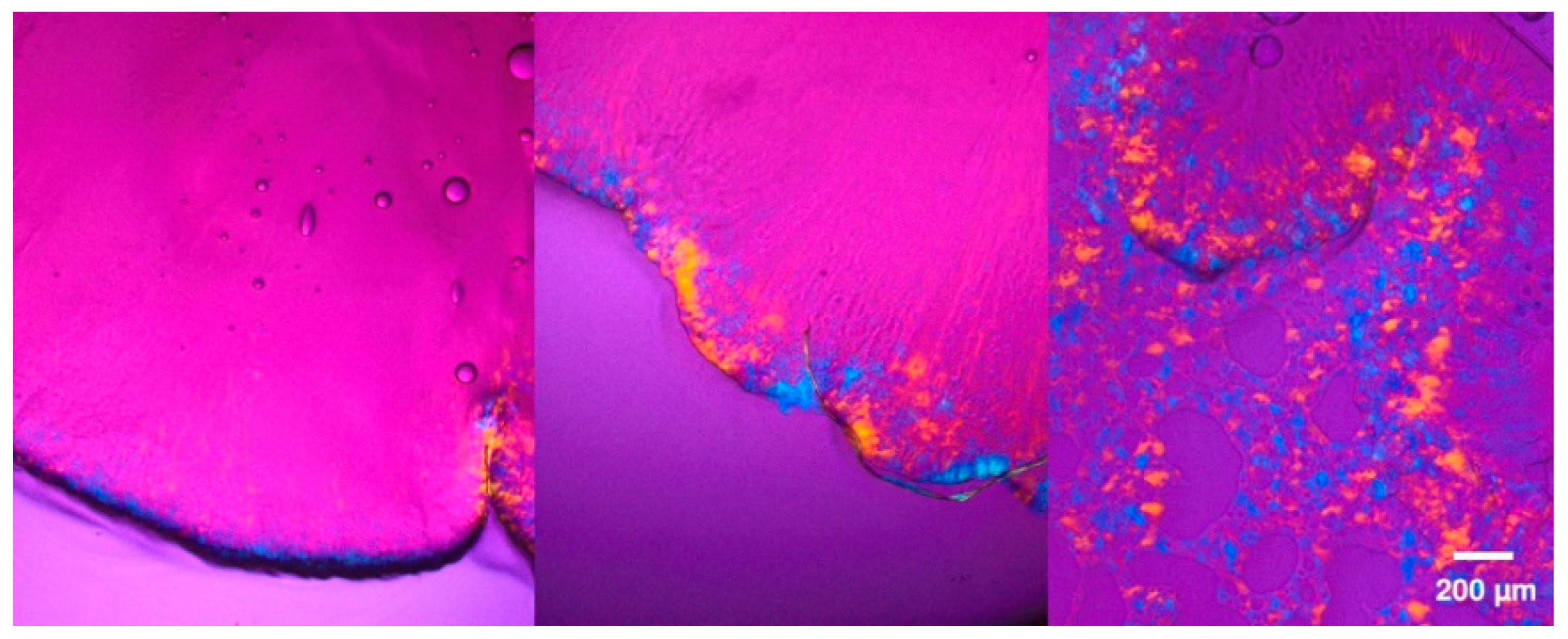 Pharmaceutics 12 00509 g004