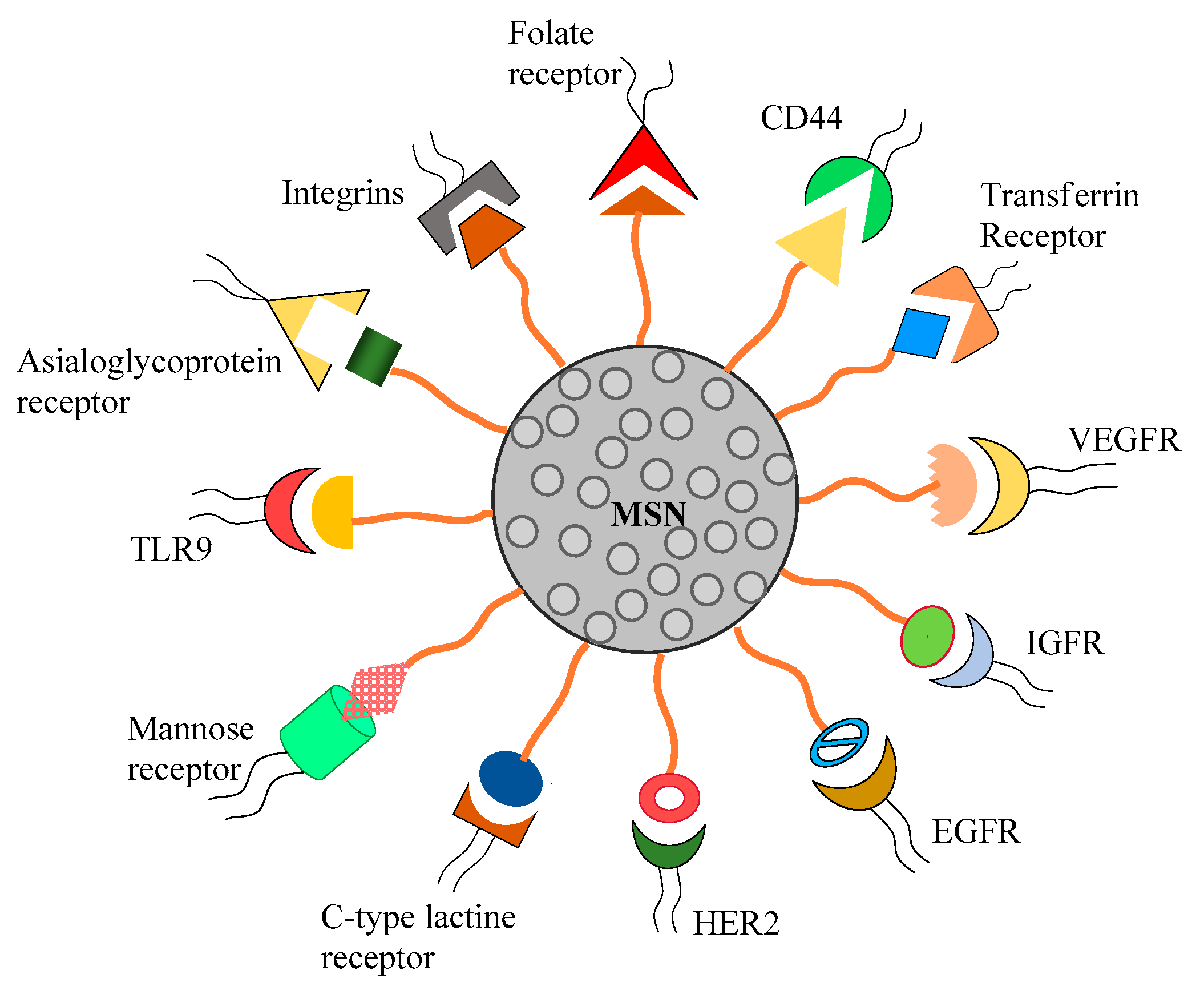 Des cancers et des souris 2nde Mathématiques