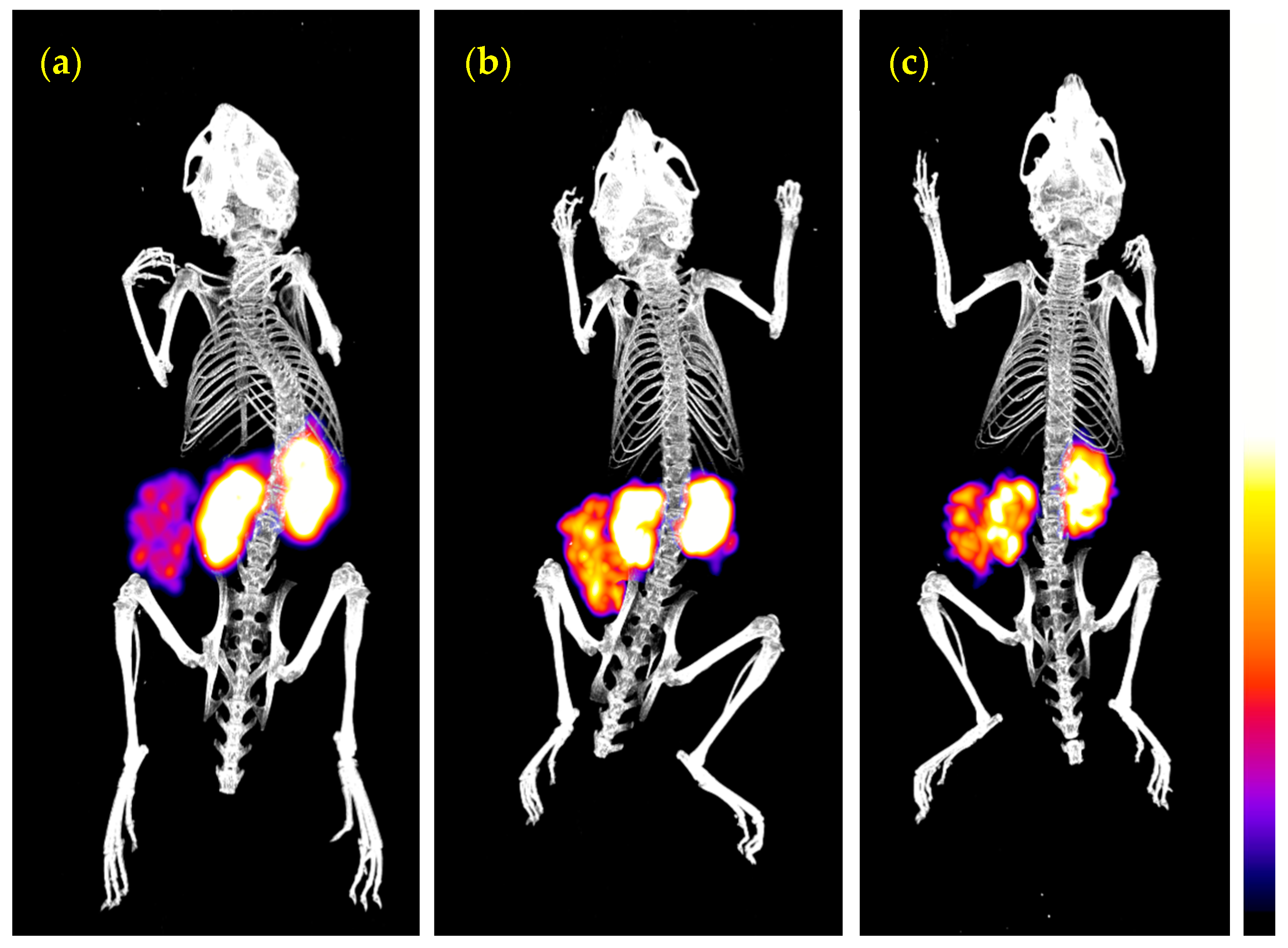 Pharmaceutics 12 00528 g005