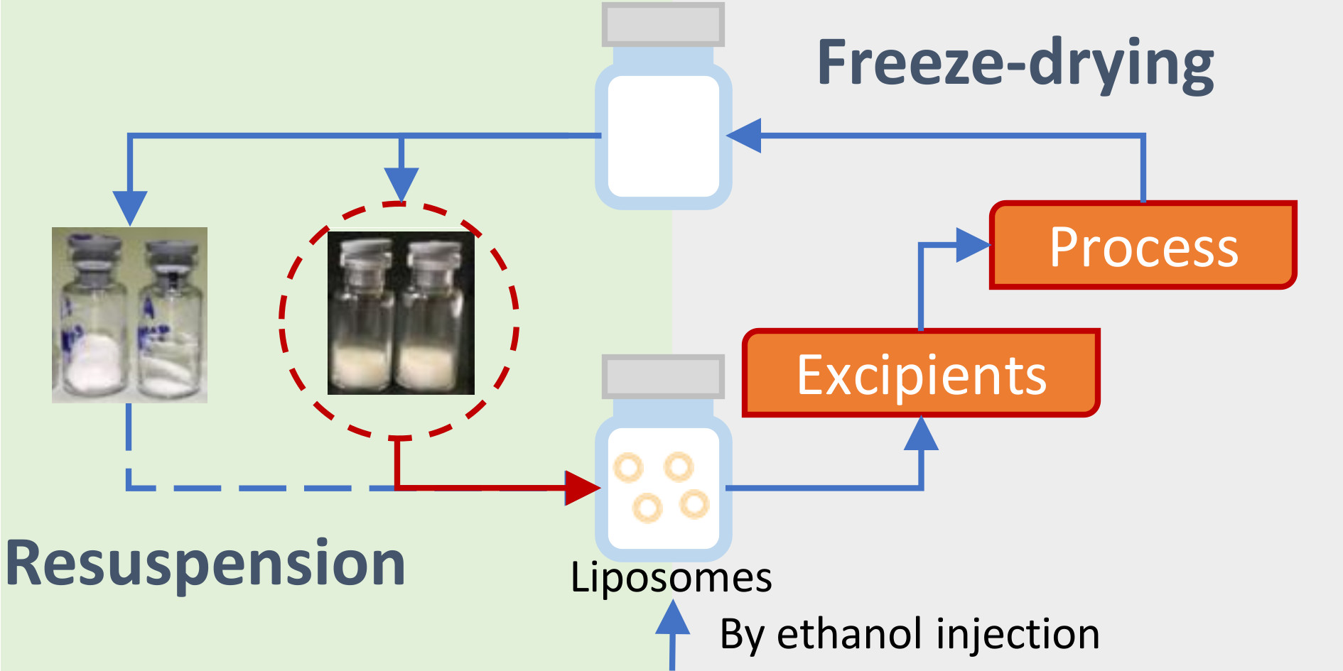 Pharmaceutics Free FullText Preserving the Integrity of Liposomes
