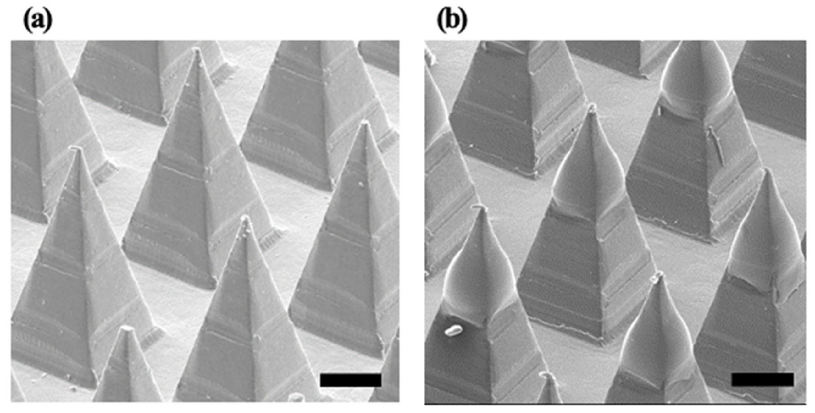 Pharmaceutics 12 00531 g001 Pharmaceutics 12 00531 g001