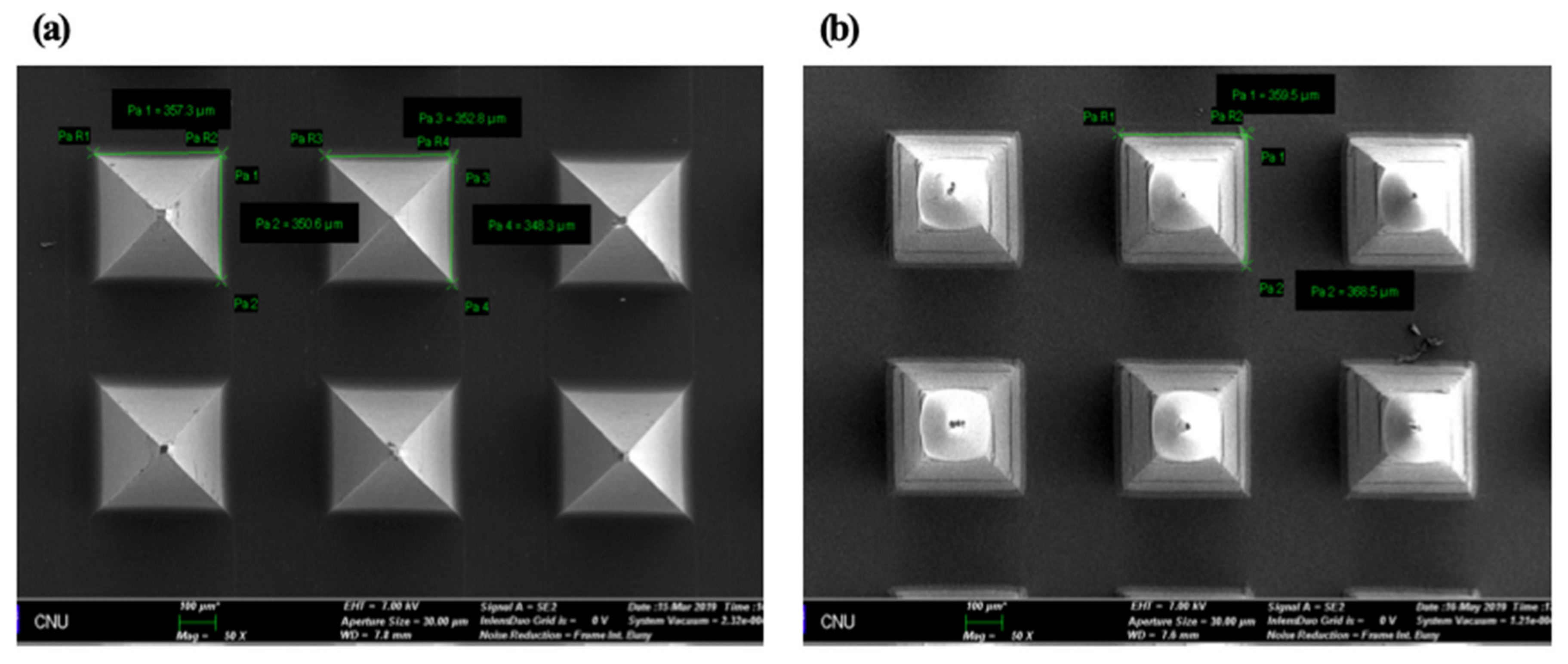 Pharmaceutics 12 00531 g002 Pharmaceutics 12 00531 g002